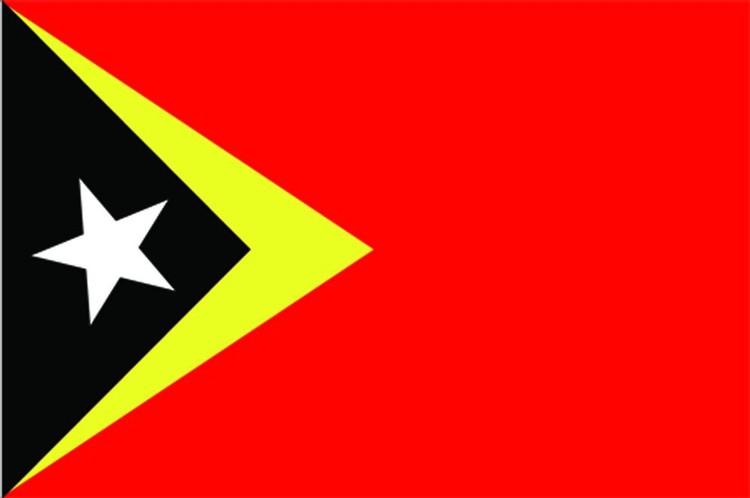 East Timor Flag - 2' x 3' - Nylon 2