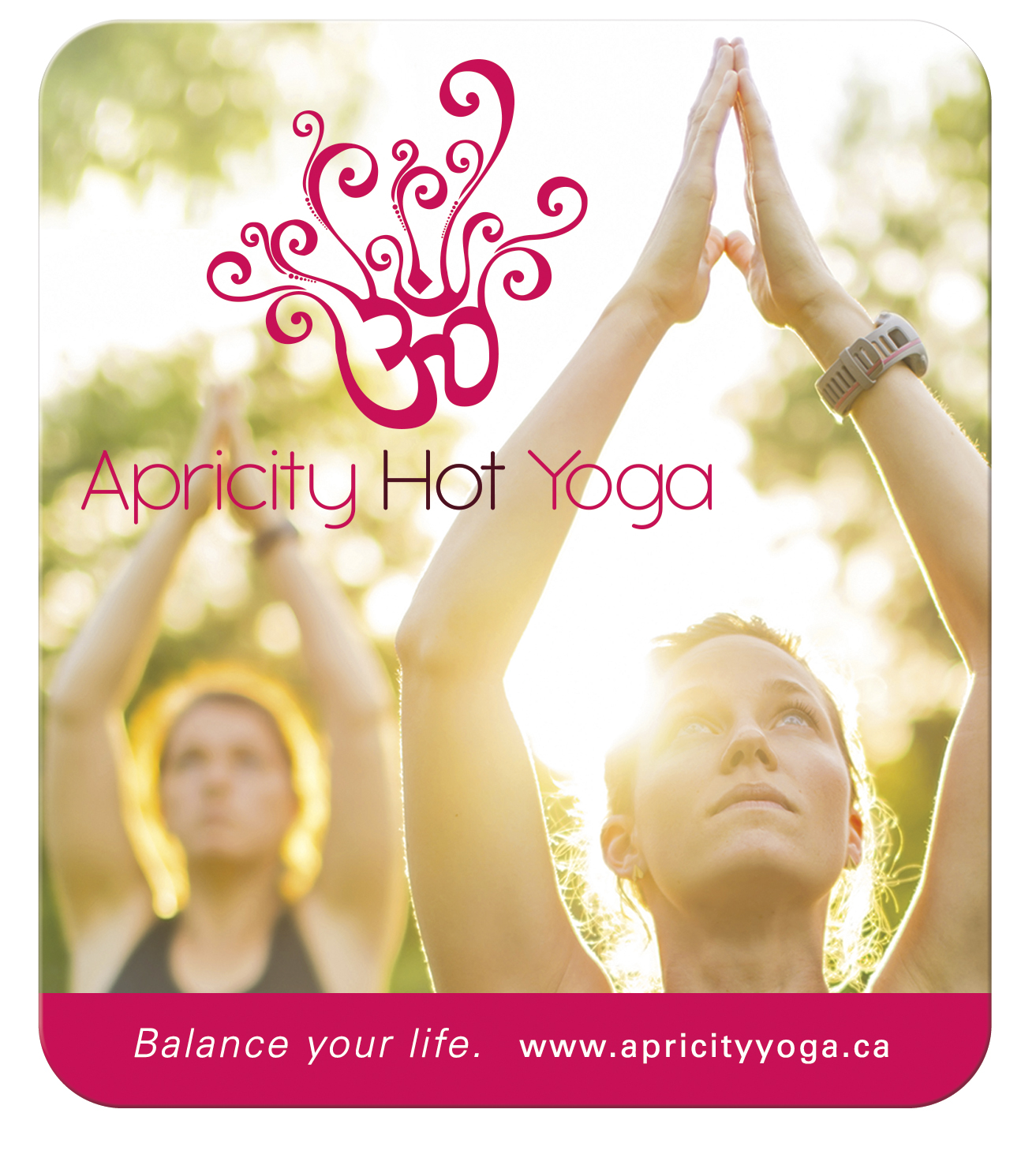 Good Value™ 20 Mil Large Stock Shape Magnet 36