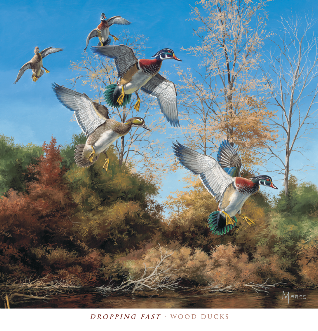 HotLine® Products David Maass Executive Calendar 25