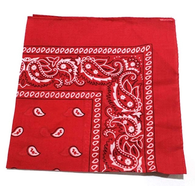 100% Cotton Custom Paisley Square Bandana 2