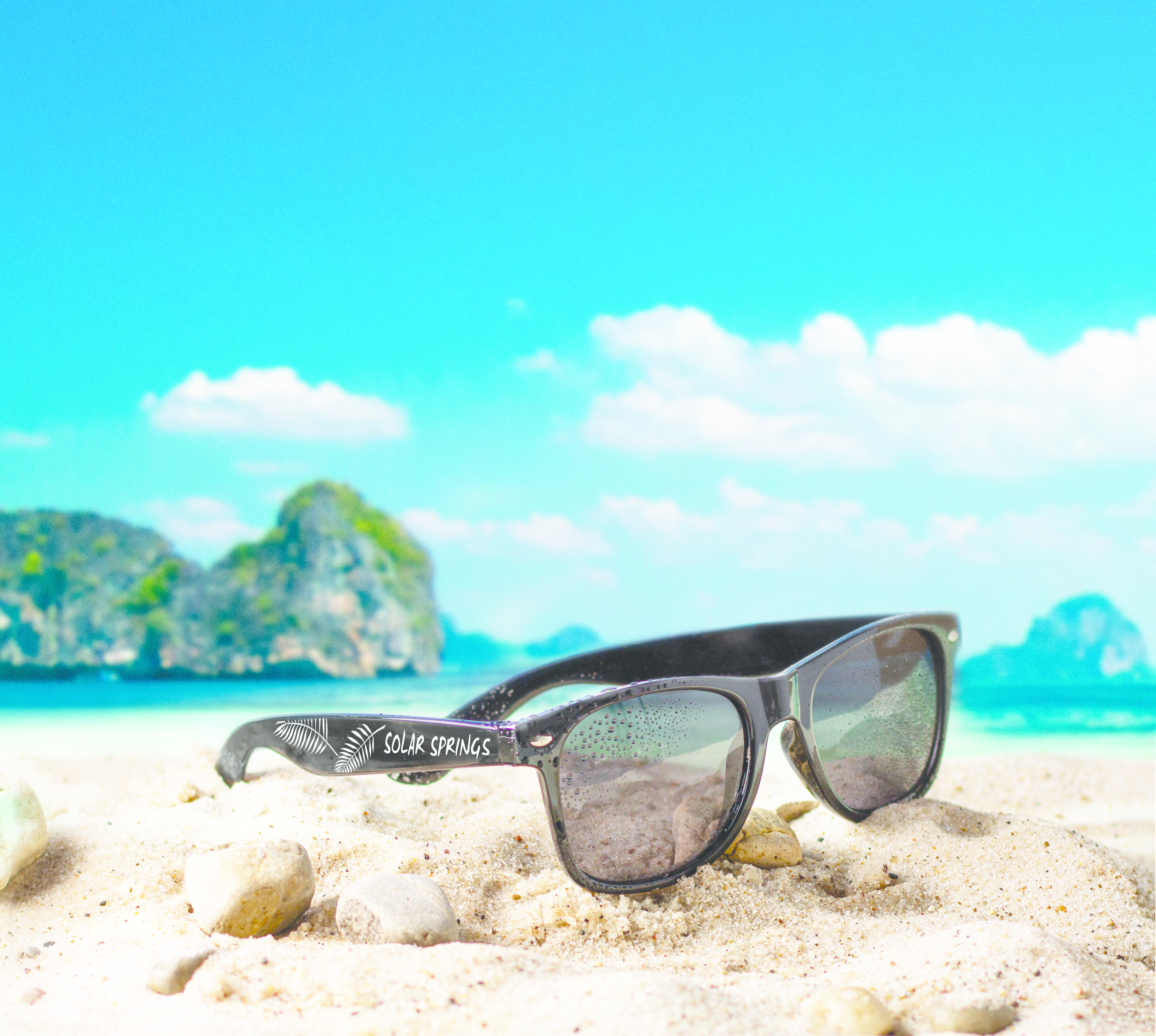 Polarized Sunglasses 2