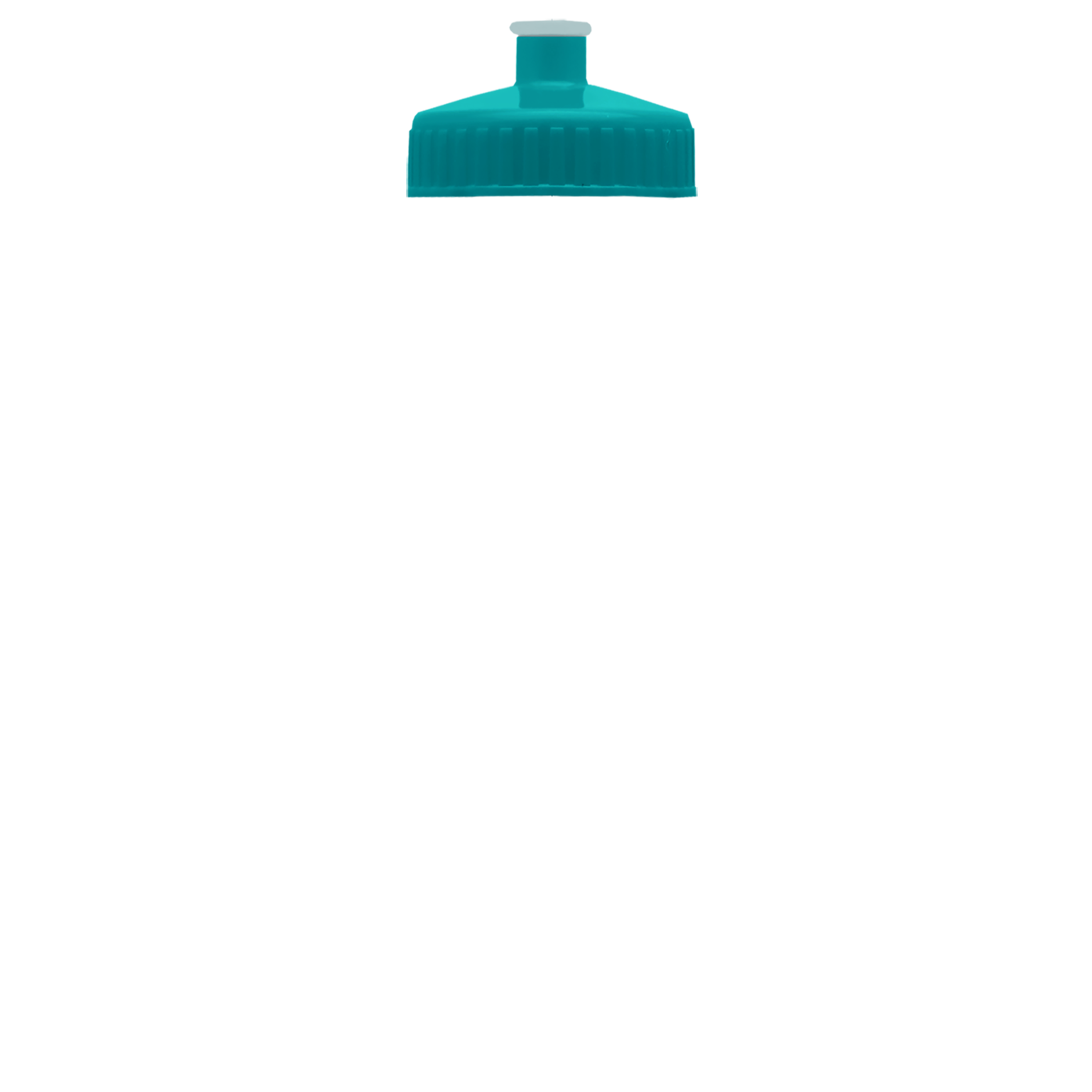 Garyline® Journey Bike Bottle (Colors) - 28 oz. 566