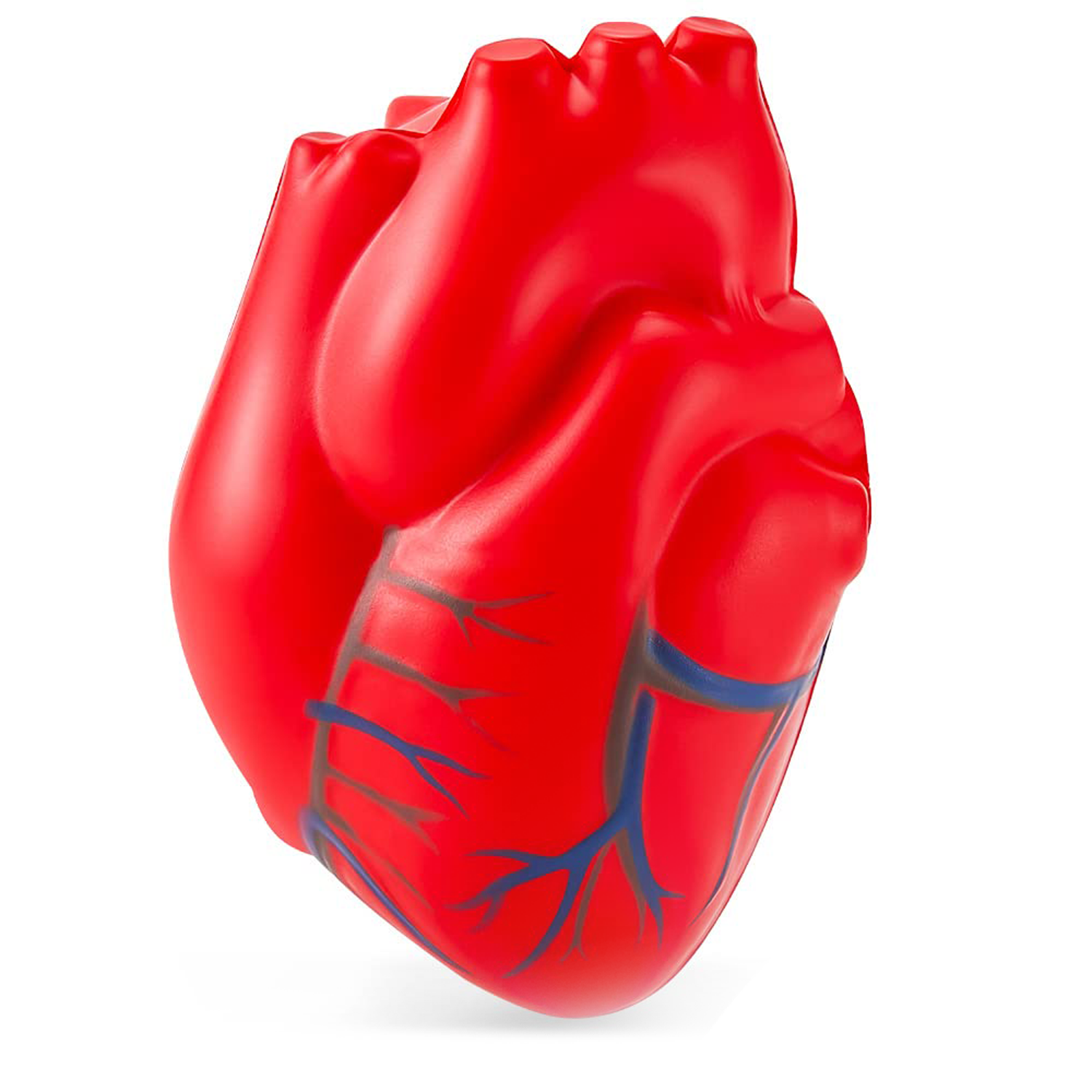 Heart with Blue Veins Stress Reliever 2