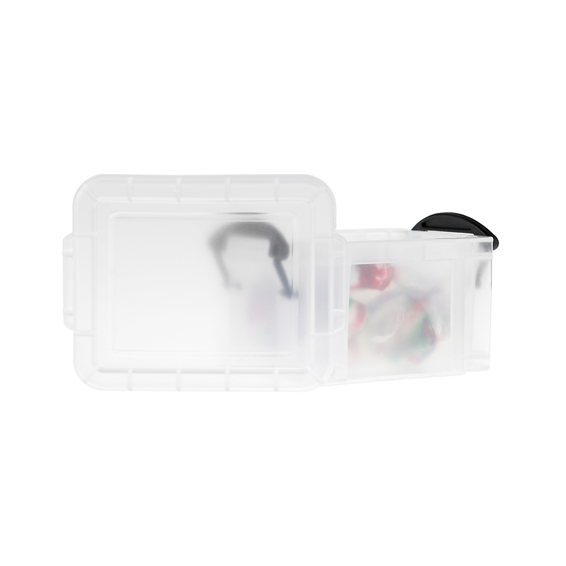 iPosh Mini Storage Case 2