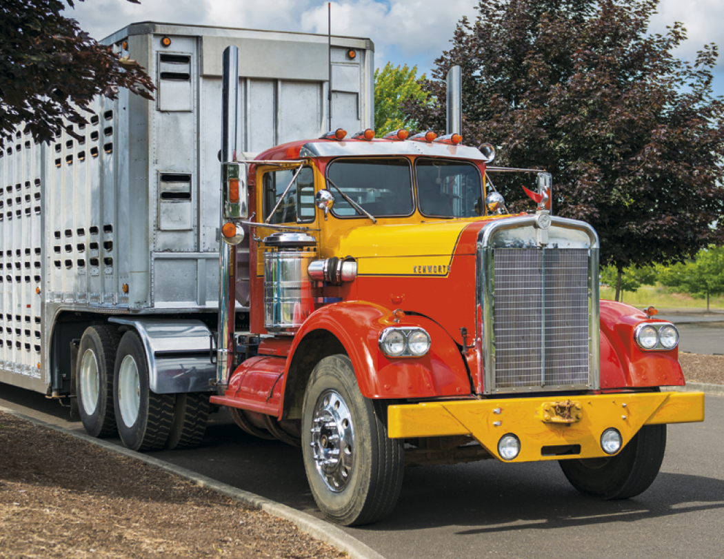 Triumph® Calendars Antique Trucks Calendar 64