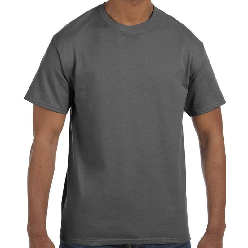 Hanes Men's Authentic-T T-Shirt 15
