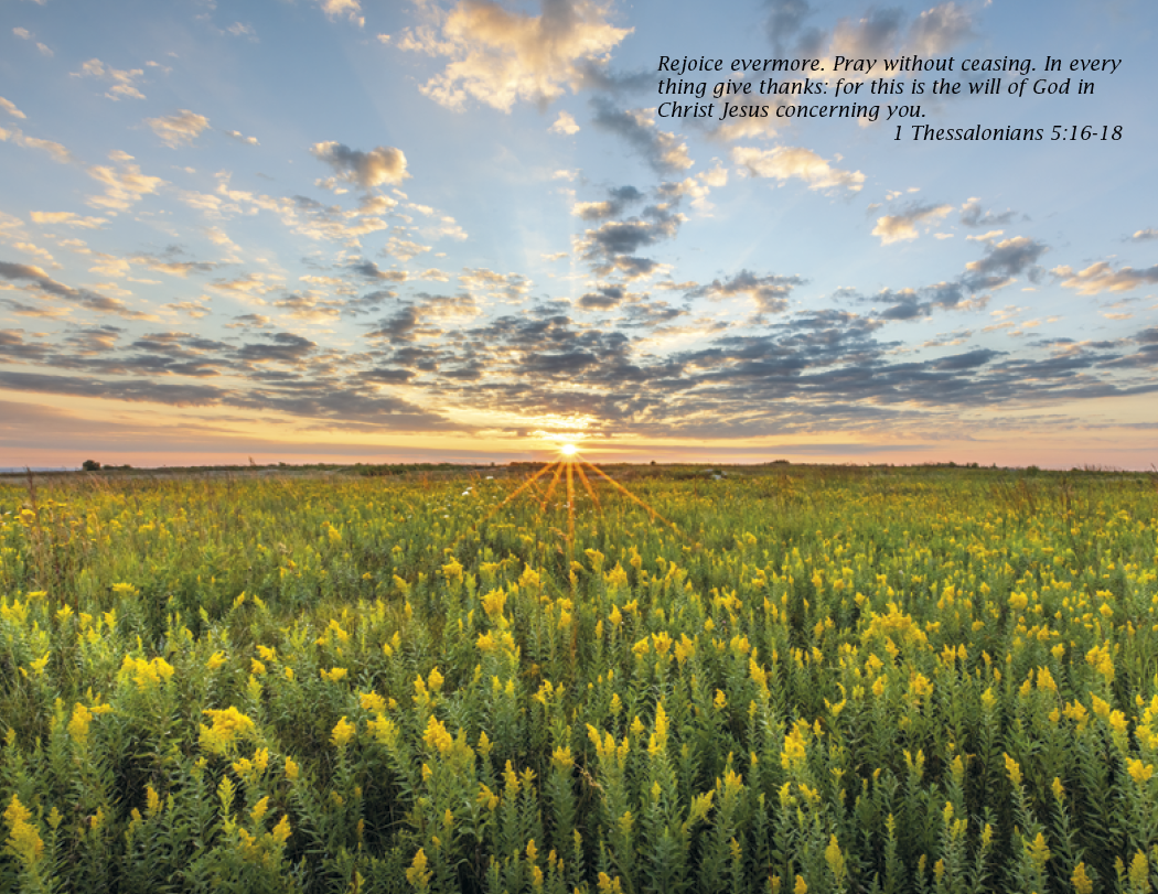 Triumph® Calendars Bible Passages Calendar 20