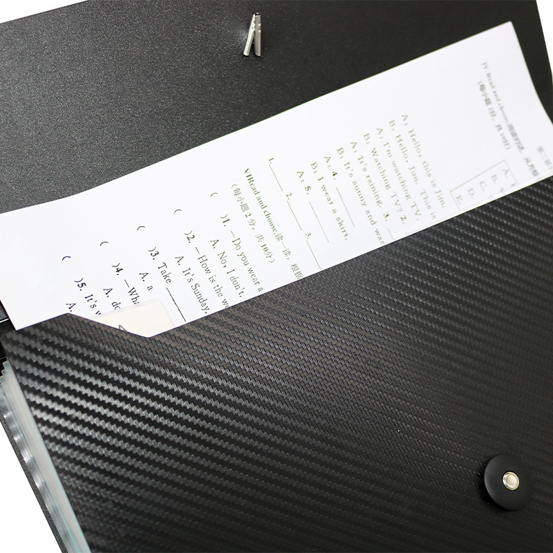Large Size Expanding File 5