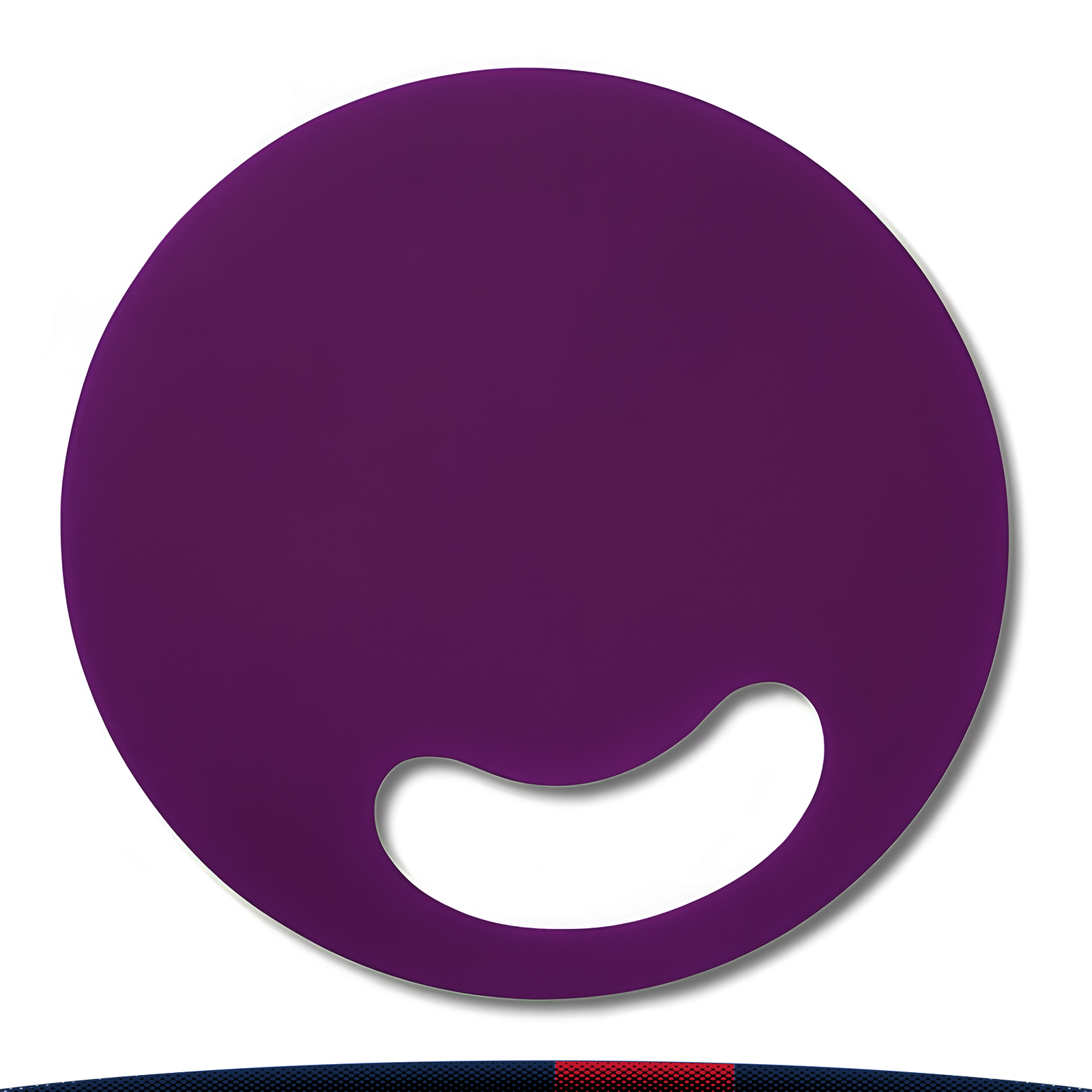 Plastic Round Hand Fan 10