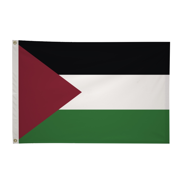 2' x 3'International Flag 161