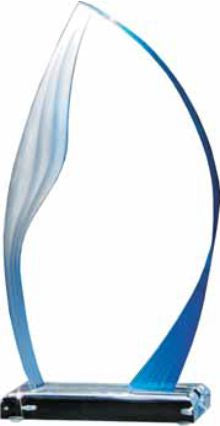 Indigo Teardrop Award 2