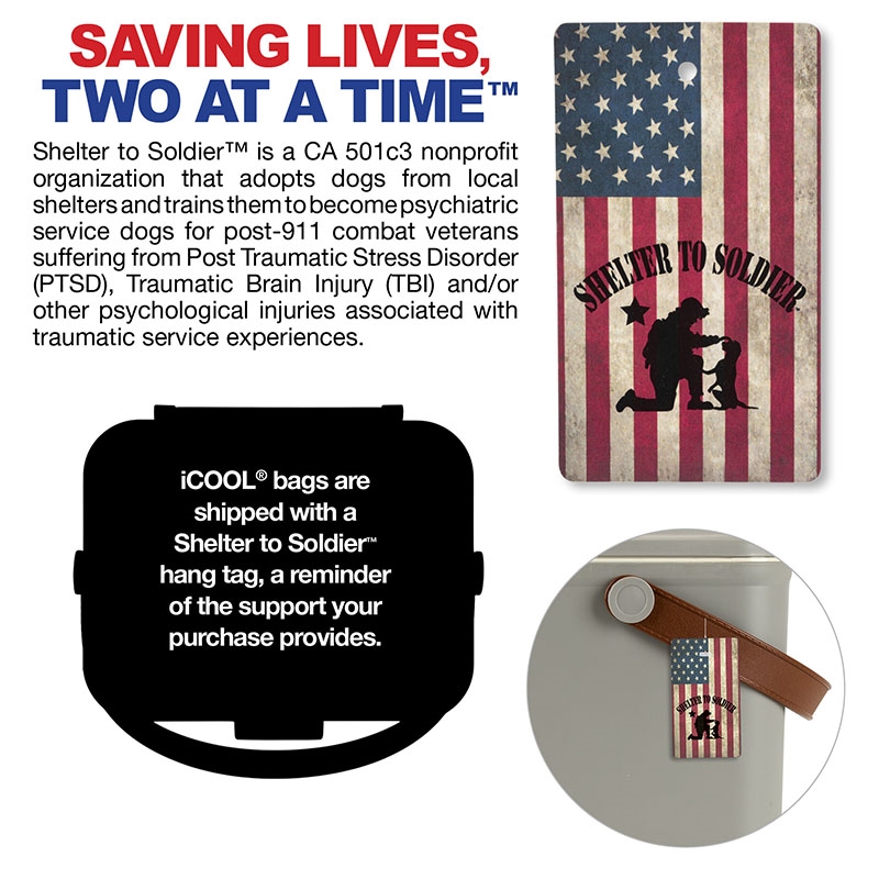 iCOOL Hale 18-Can, 10.5 Qt Hard Sided Cooler 4