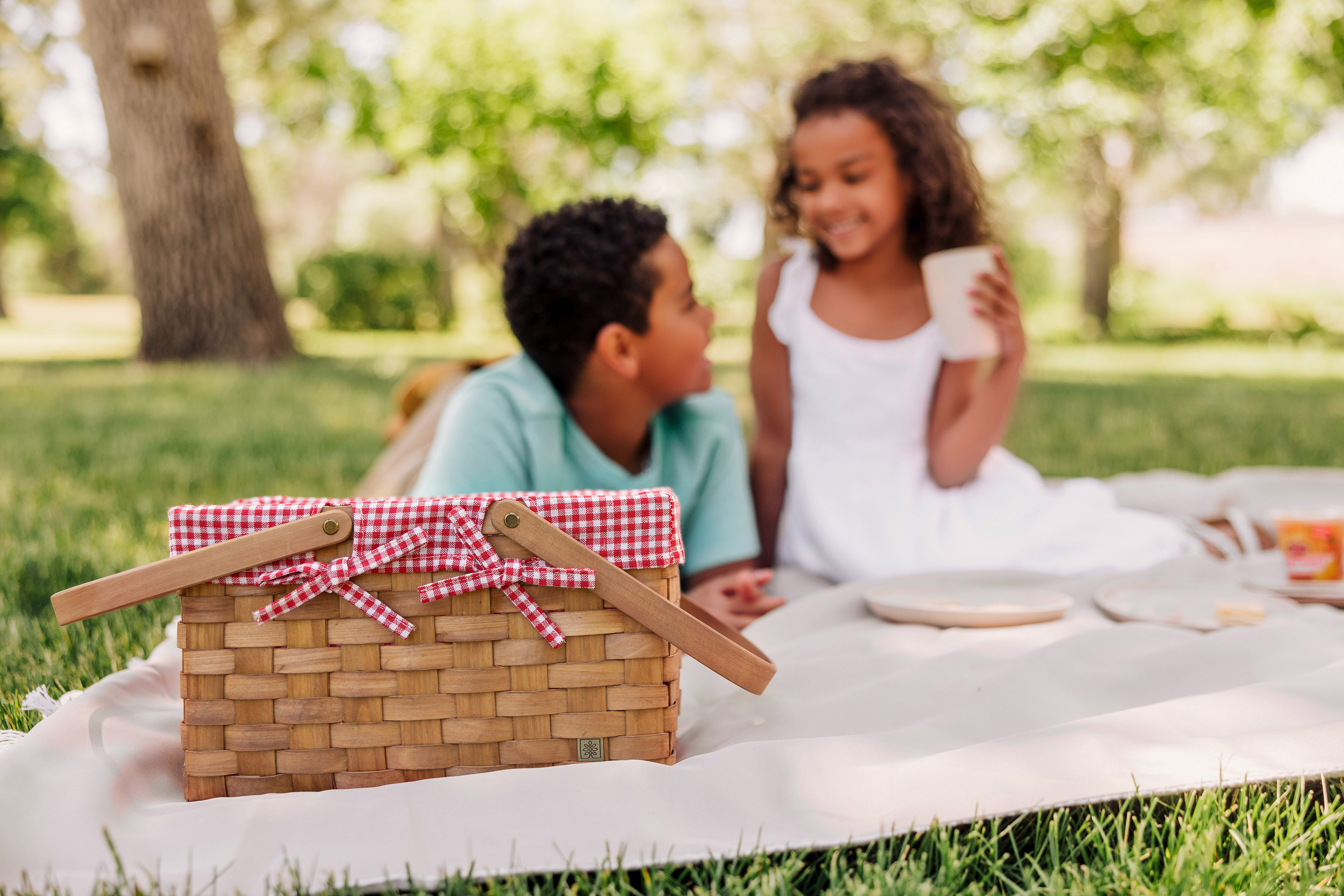 Piccola Picnic Basket 4