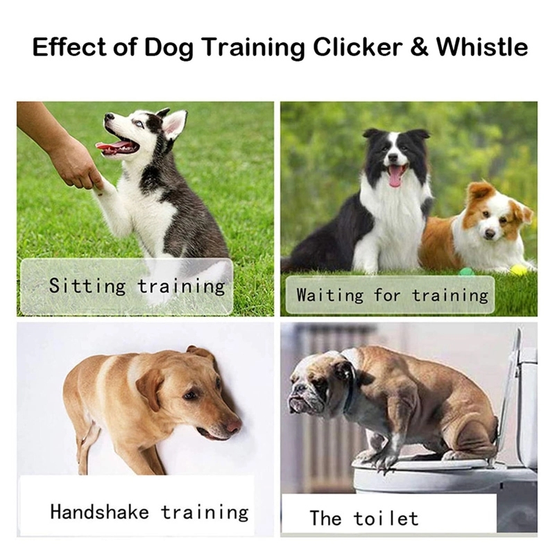 2 In 1 Dog Clickers And Whistle With Keyring 6