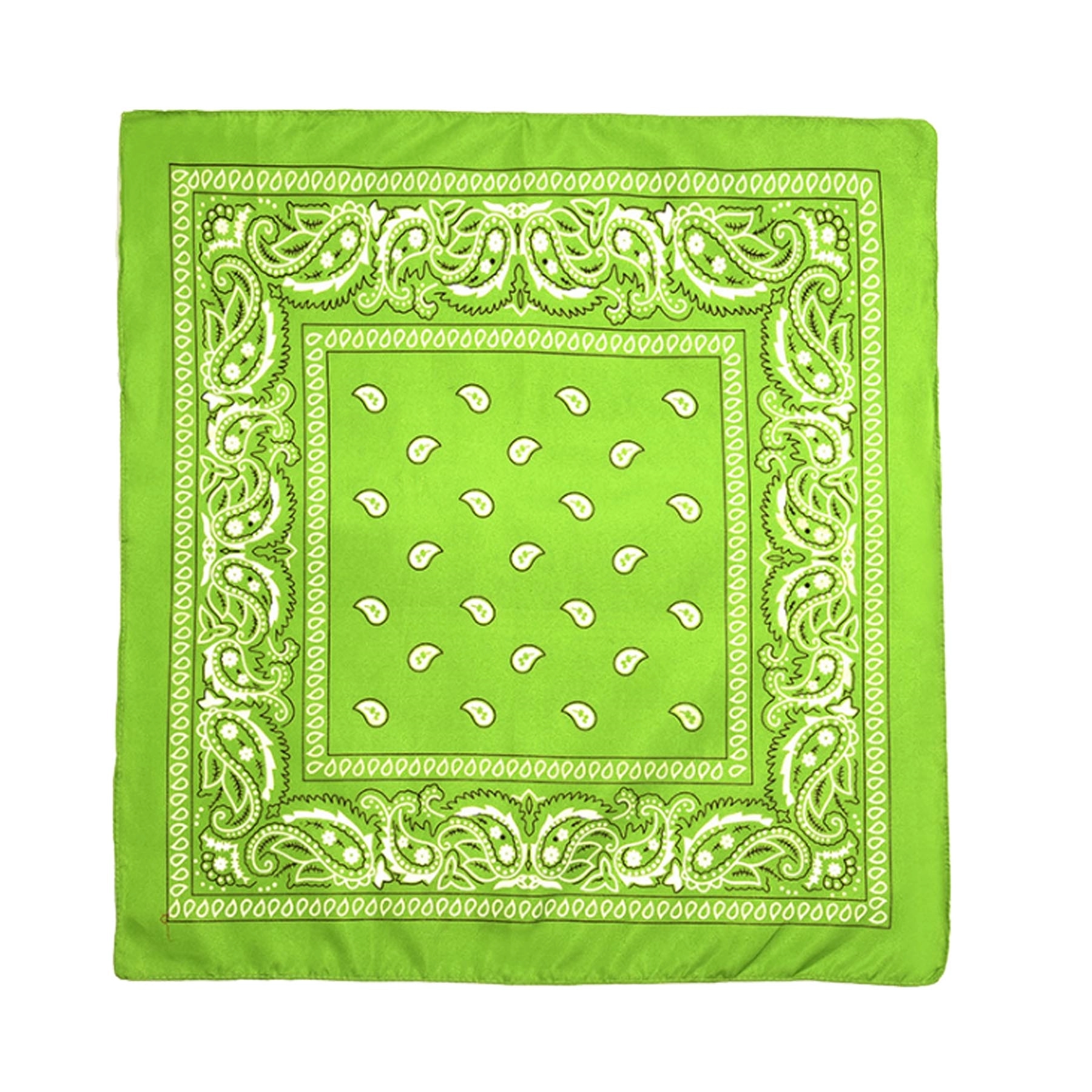 Paisley Print Head Wrap Scarf 4