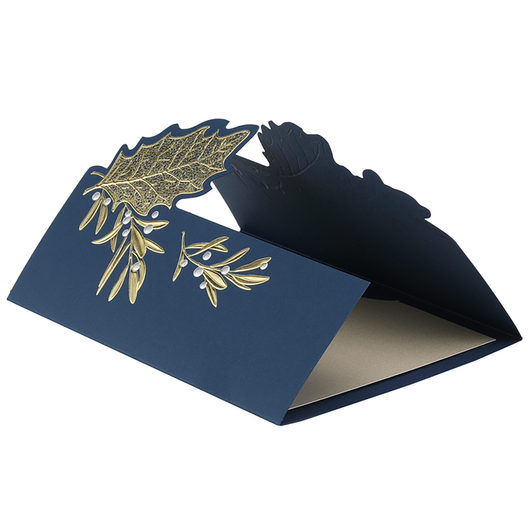 Holiday Surprise Card 3