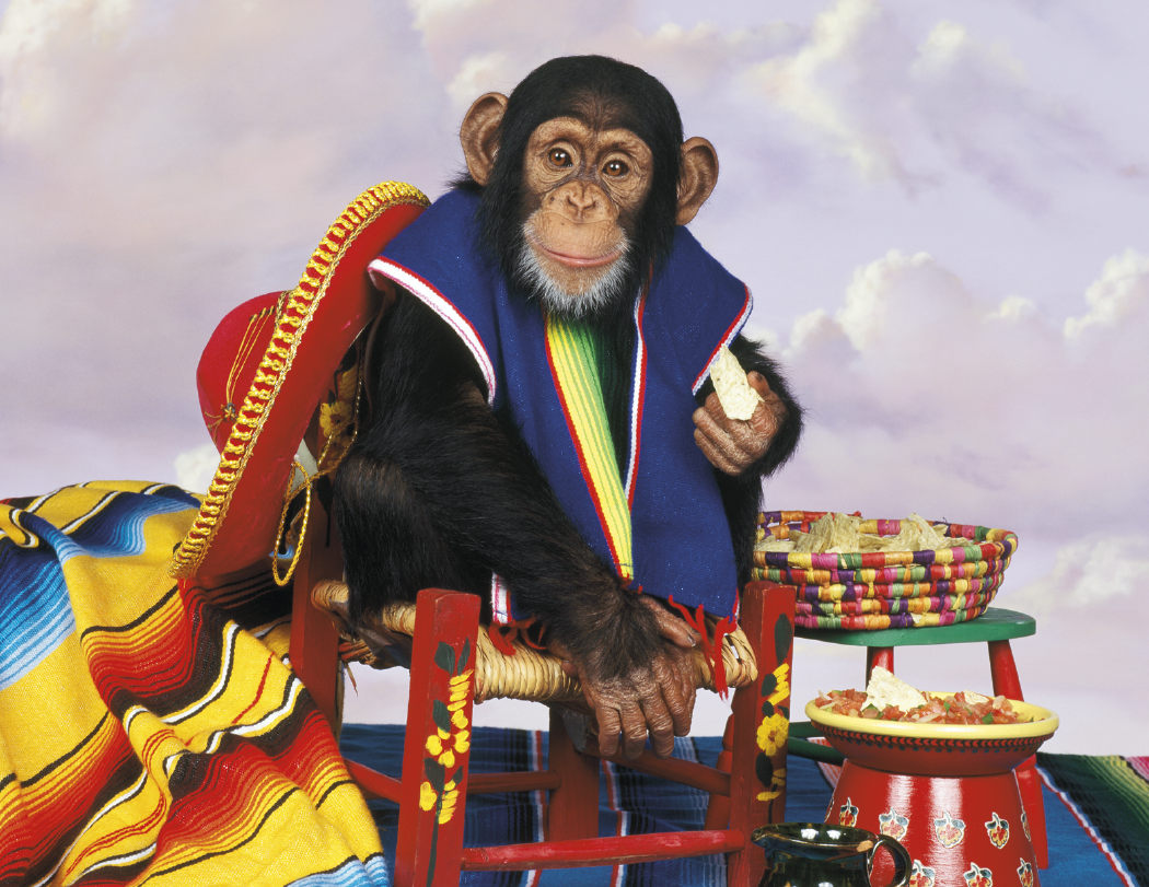 Triumph® Calendars Monkey Business Calendar 1