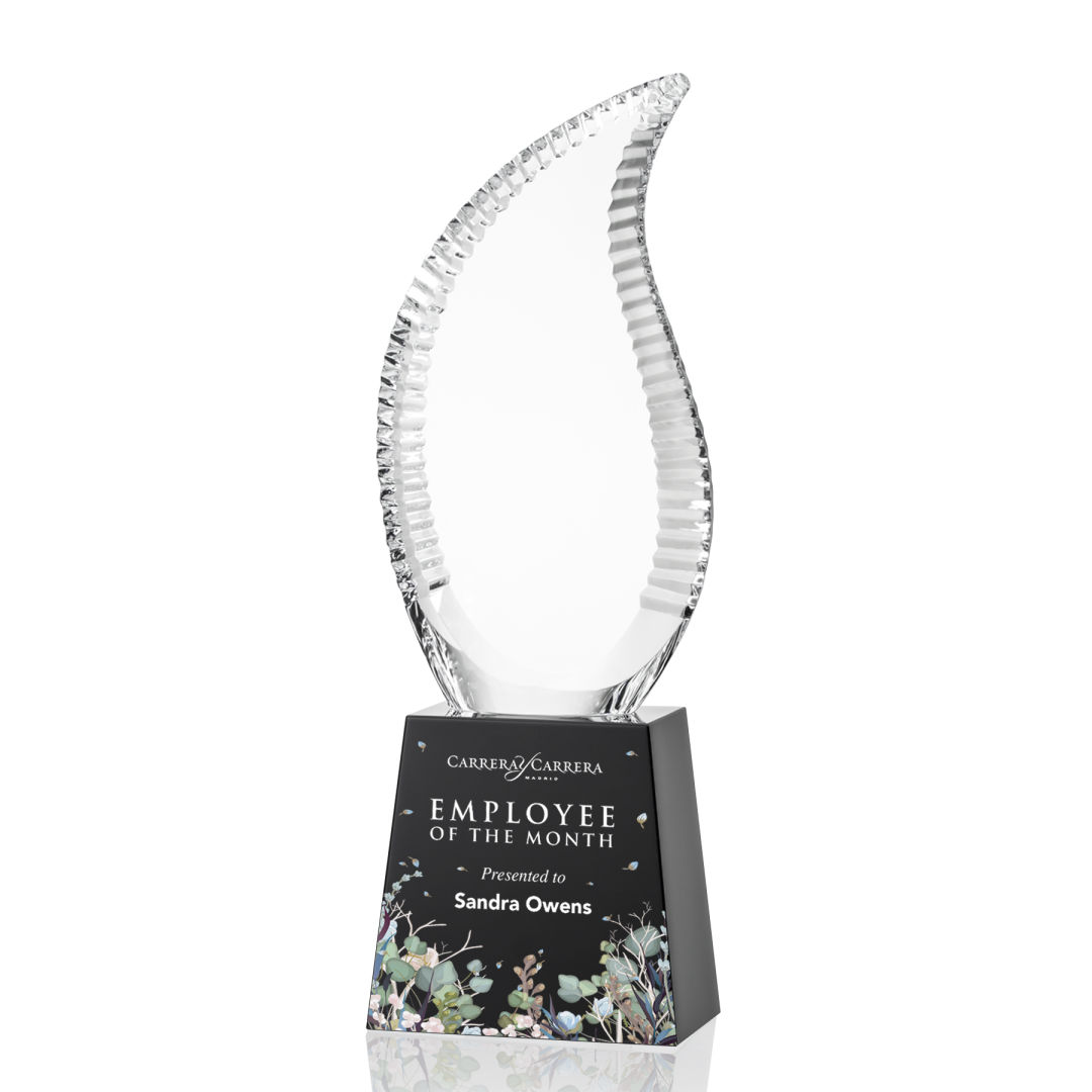 Harmony Flame VividPrint™ Award 11