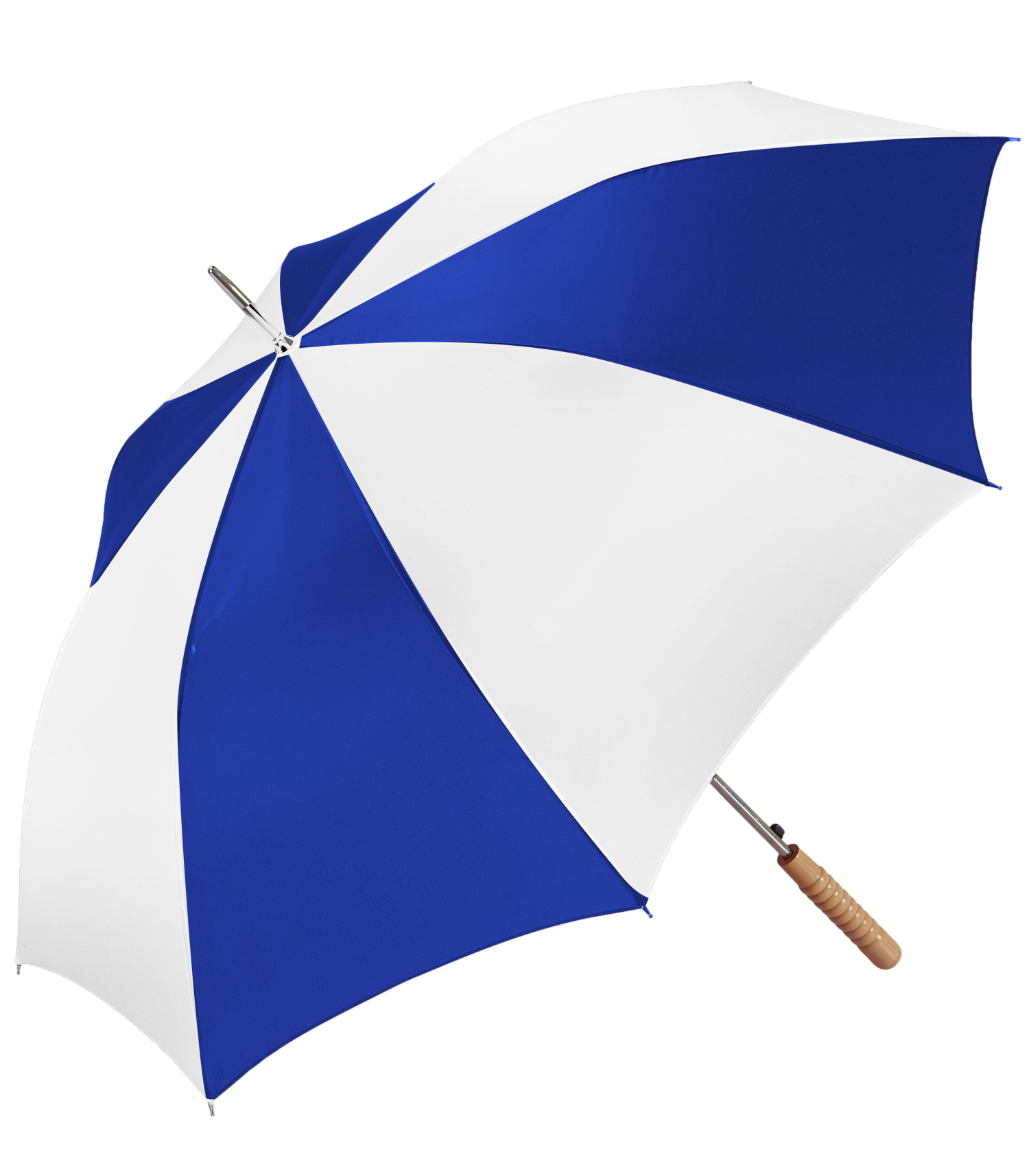 Stick Umbrella 5