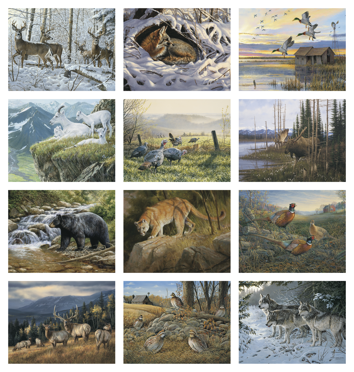 Triumph® Calendars Wildlife Art Calendar 49