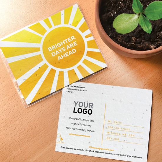 Brighter Days Plantable Postcards 2