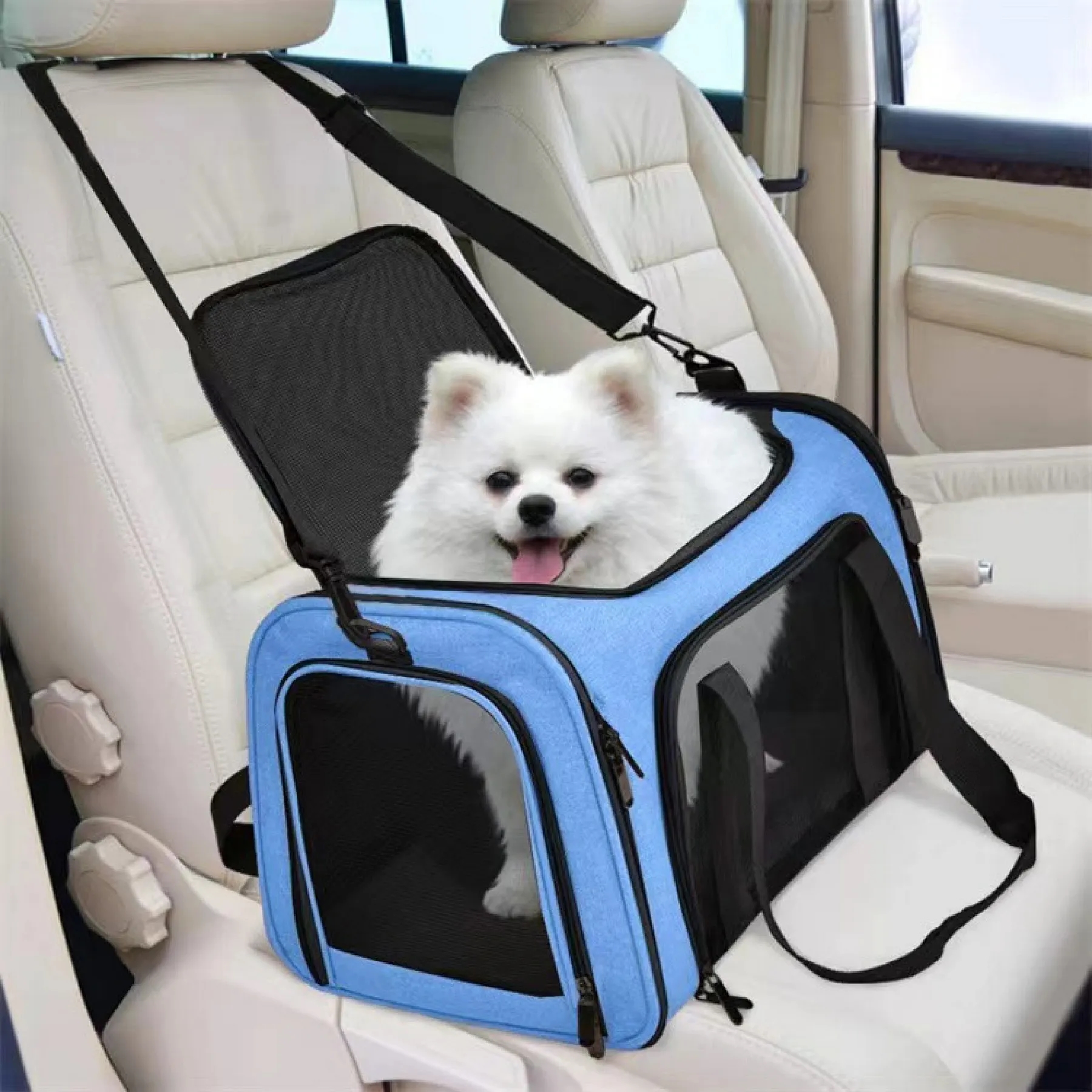 Cat Dog Carrier 2
