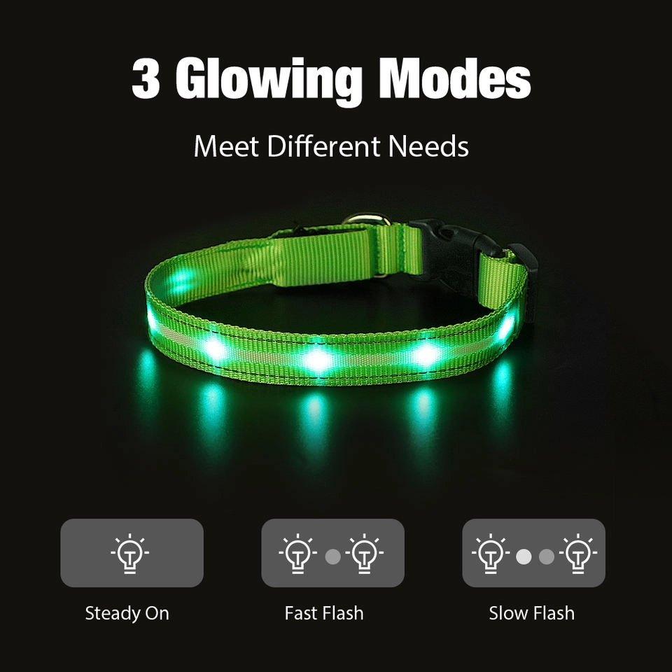 LED Light Up Dog Leash 6