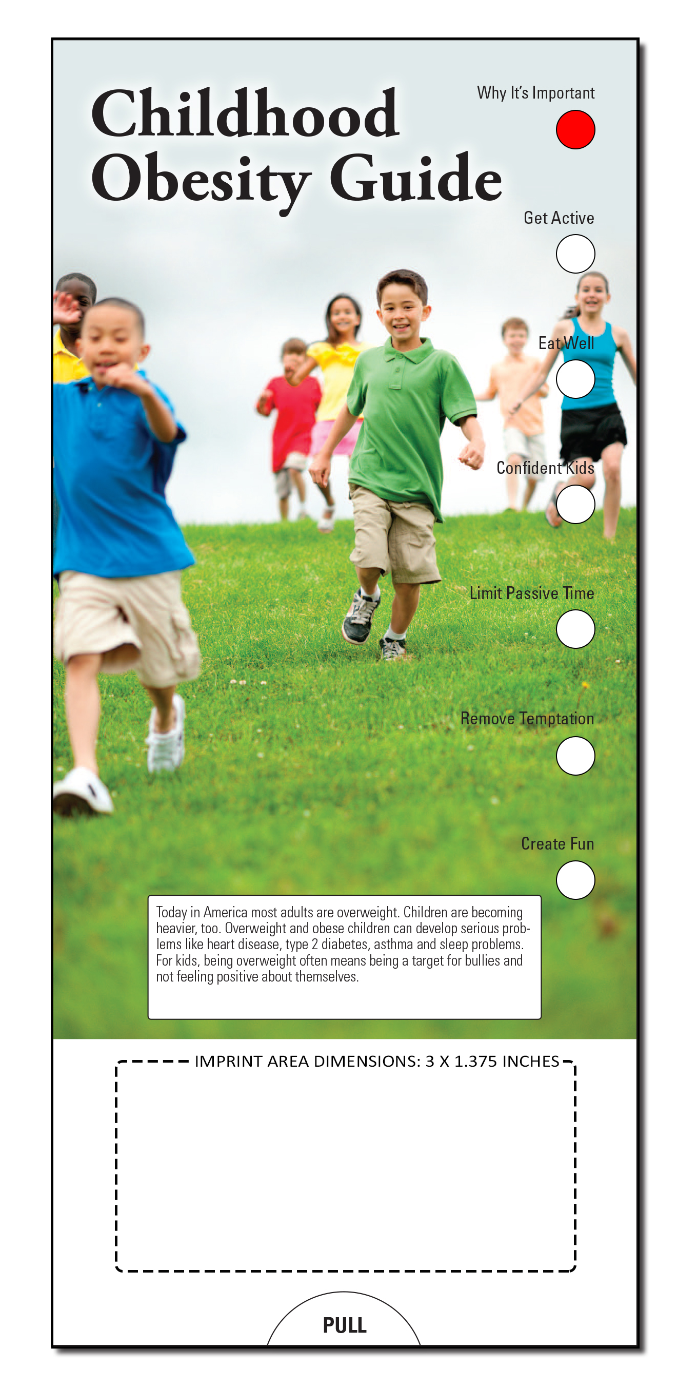 SLIDE CHART - Childhood Obesity Guide Slide Chart 3