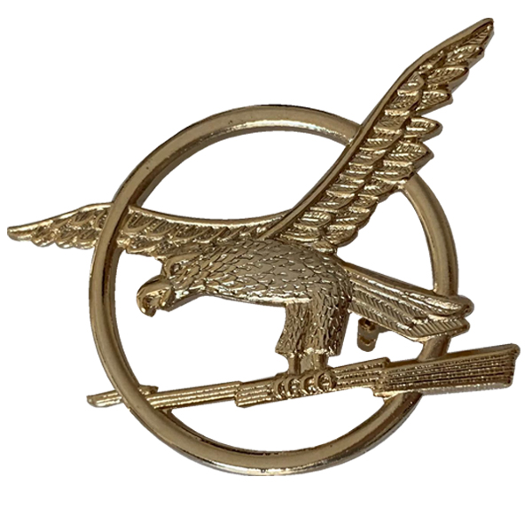 Die Struck Lapel Pin 18