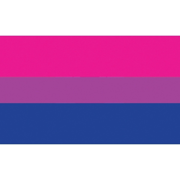 Bisexual Motorcycle Flag 2
