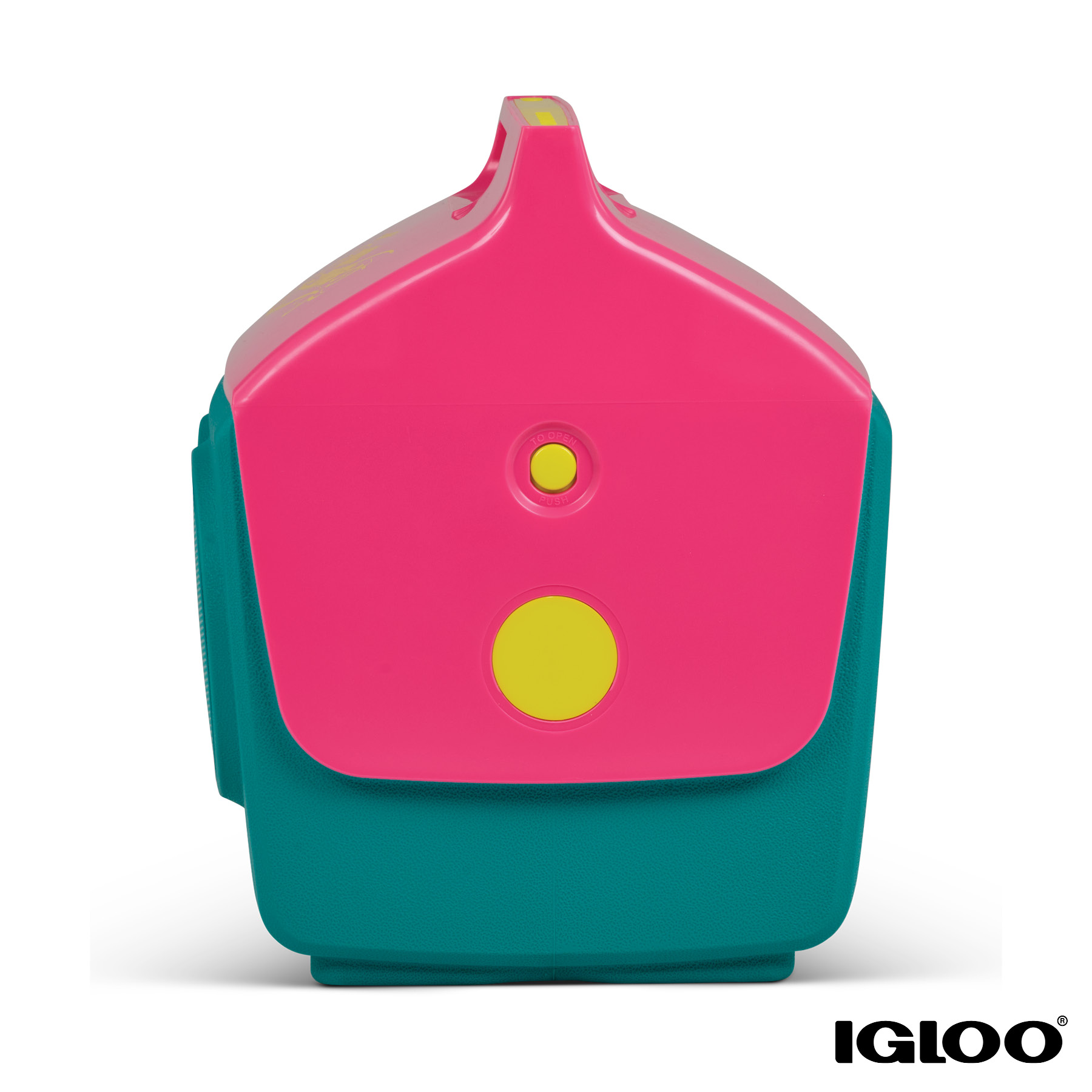 Igloo® KoolTunes® Cooler 30