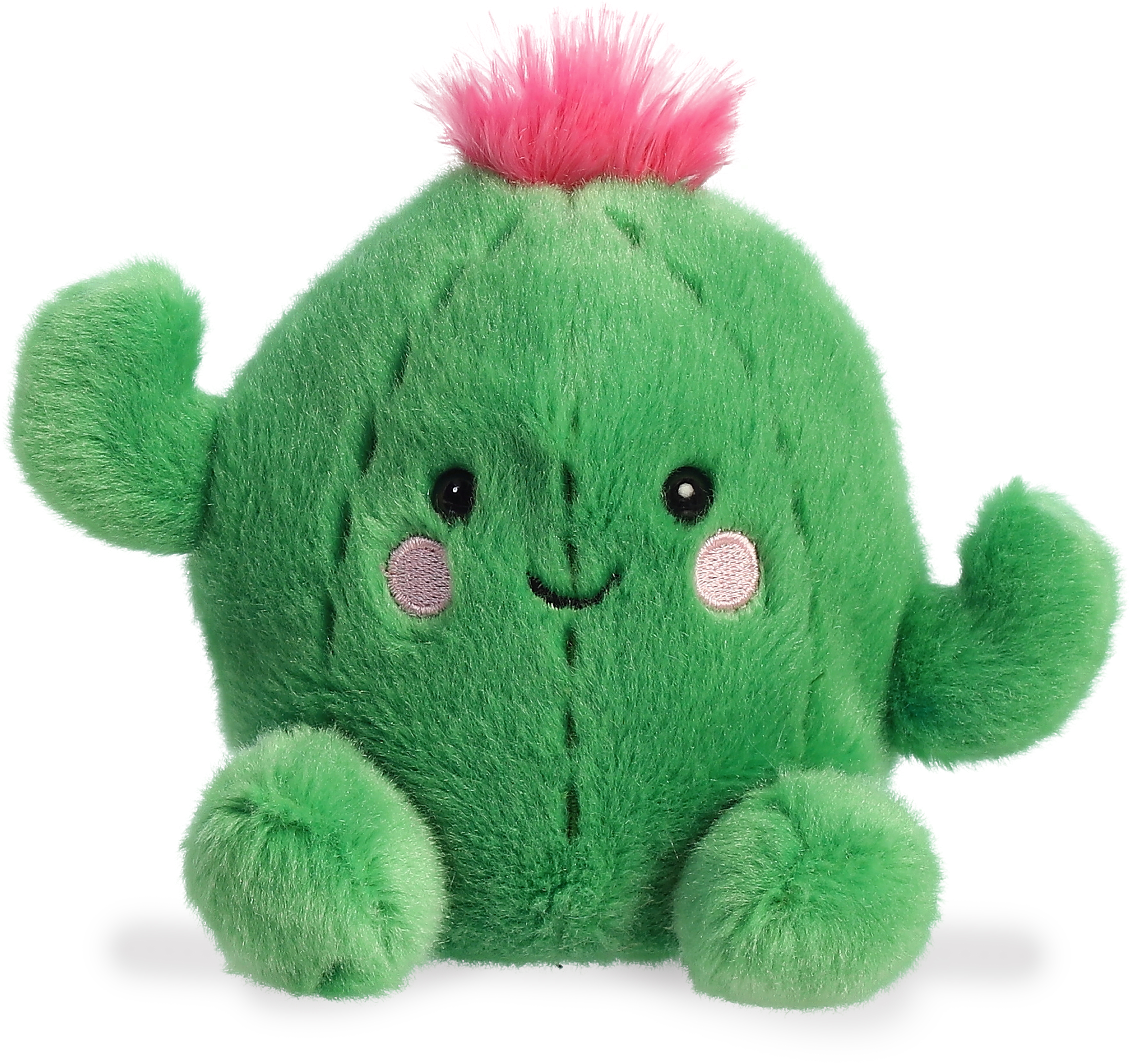 5" Prickles Cactus 2
