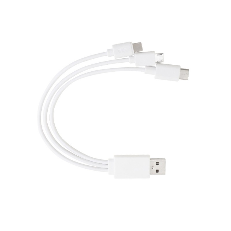 C3 Plus 2