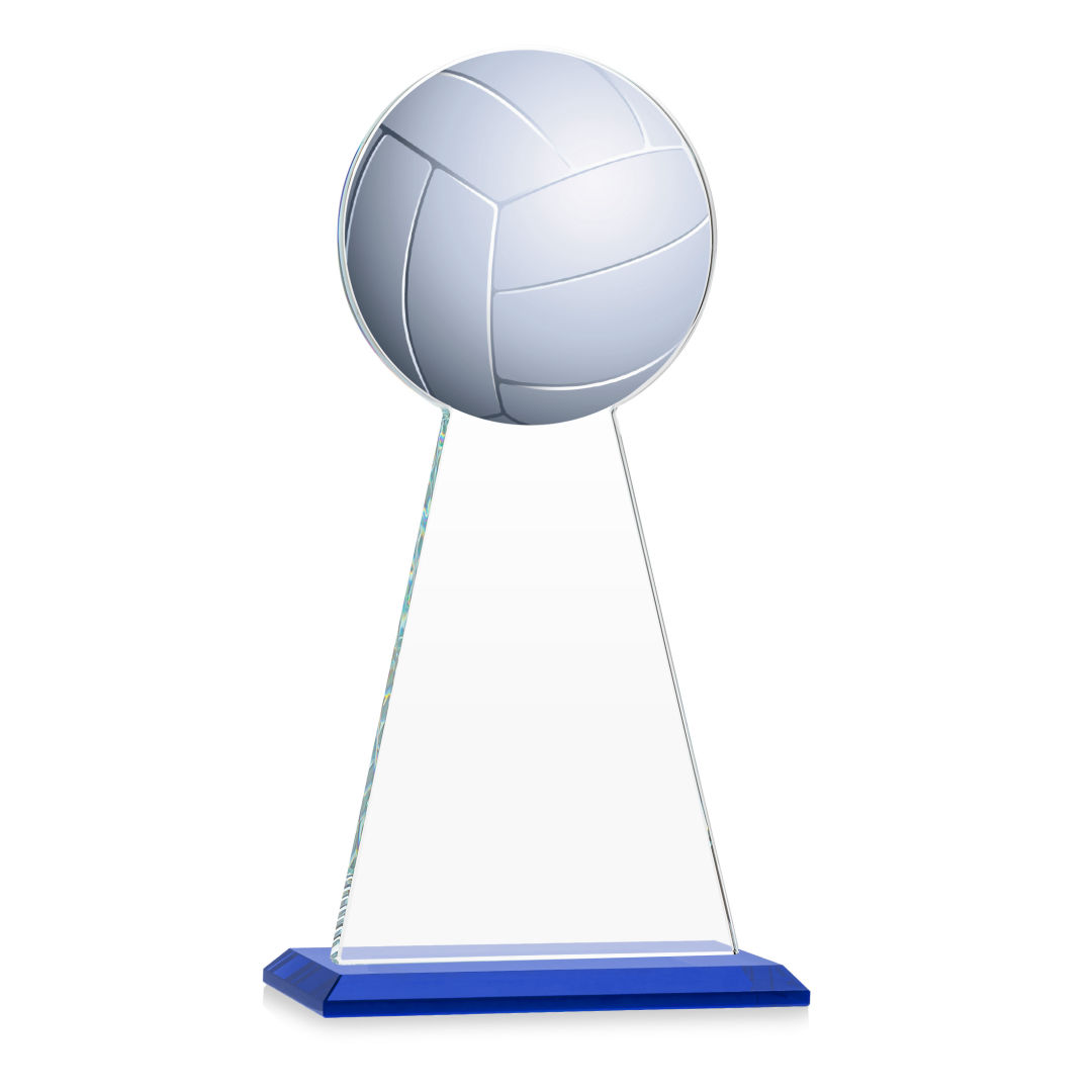 Edenwood Volleyball Award - Blue 8