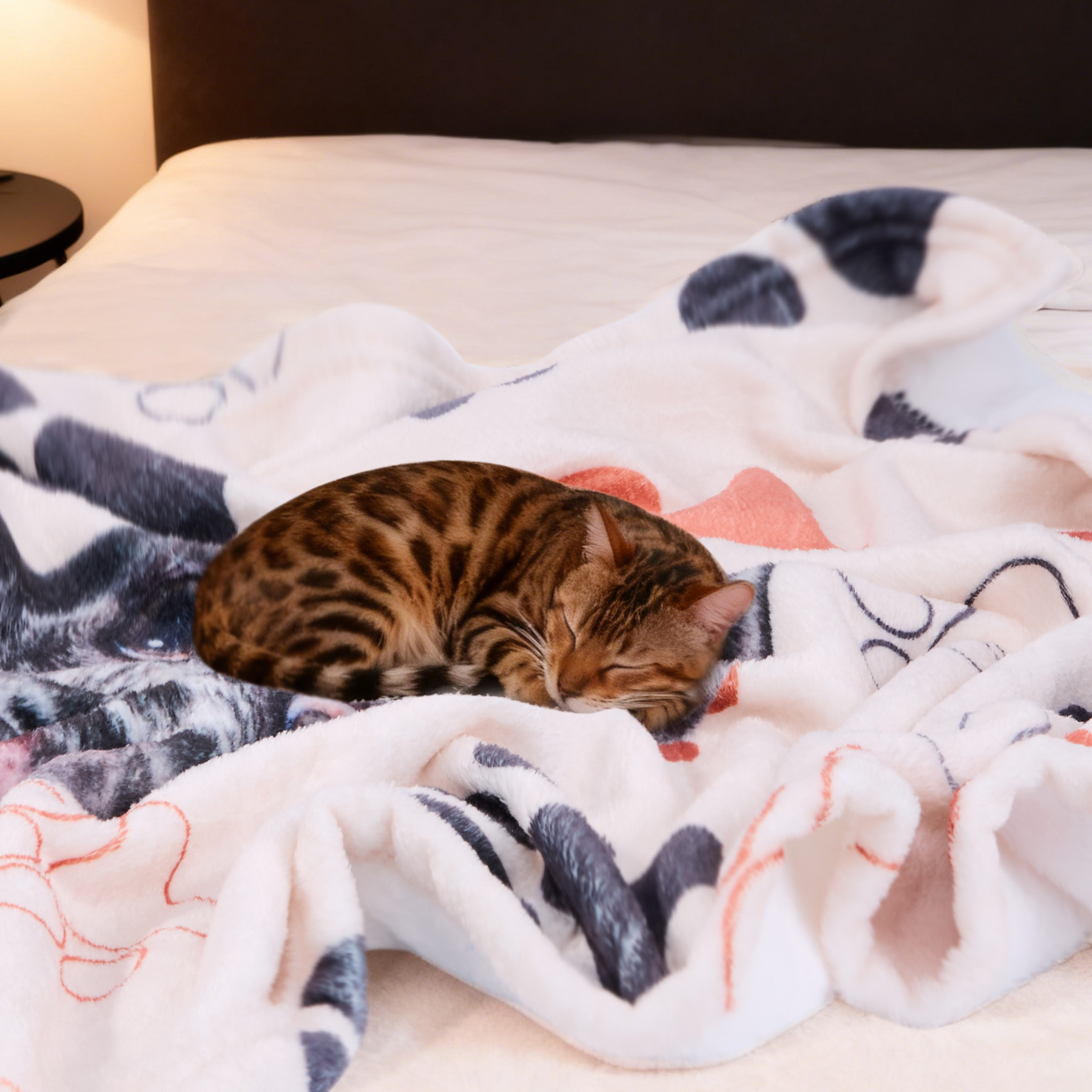 Soft Flannel Blanket 1