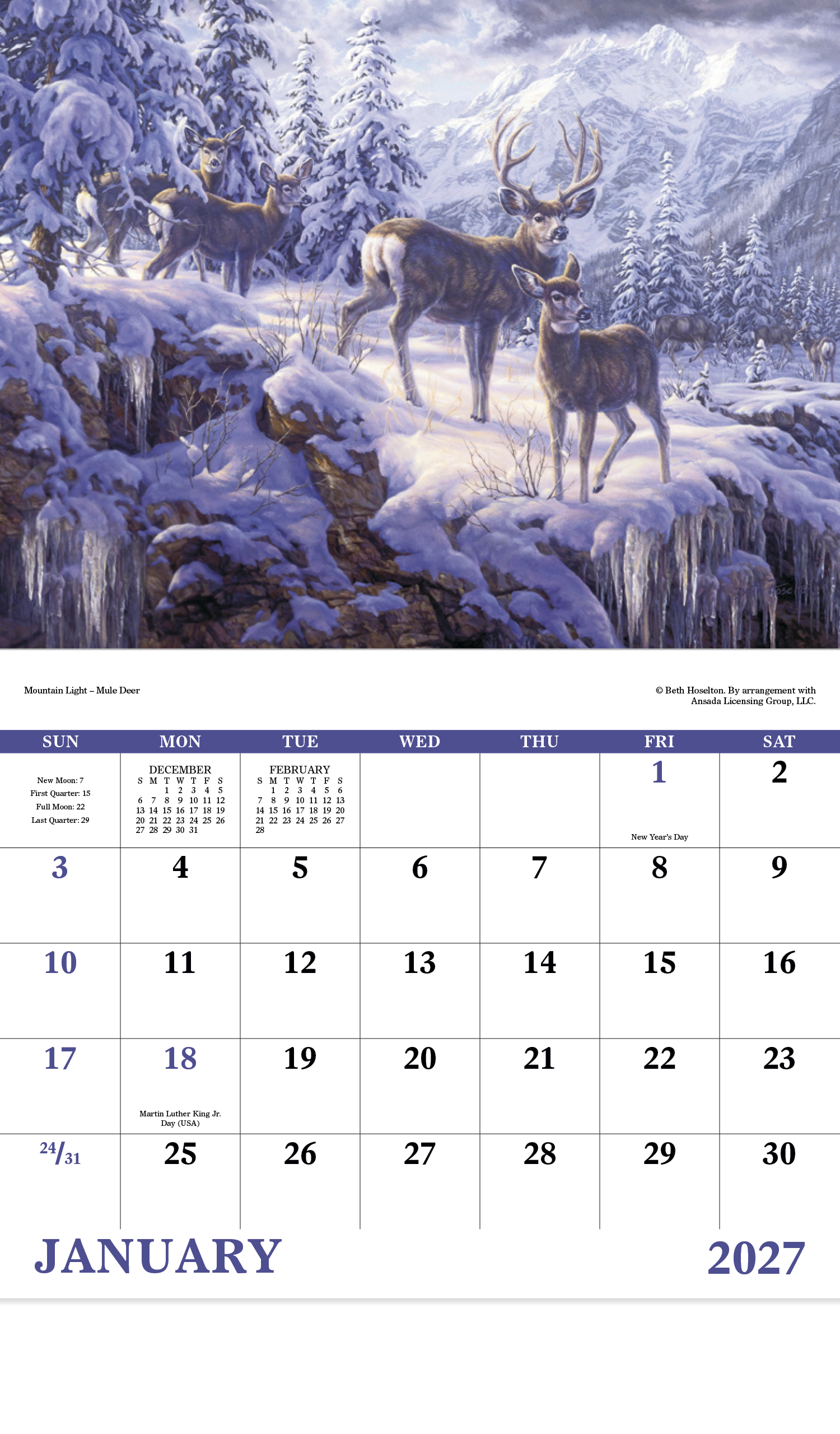 Good Value™ Wildlife Canvas - Stapled Calendar 7