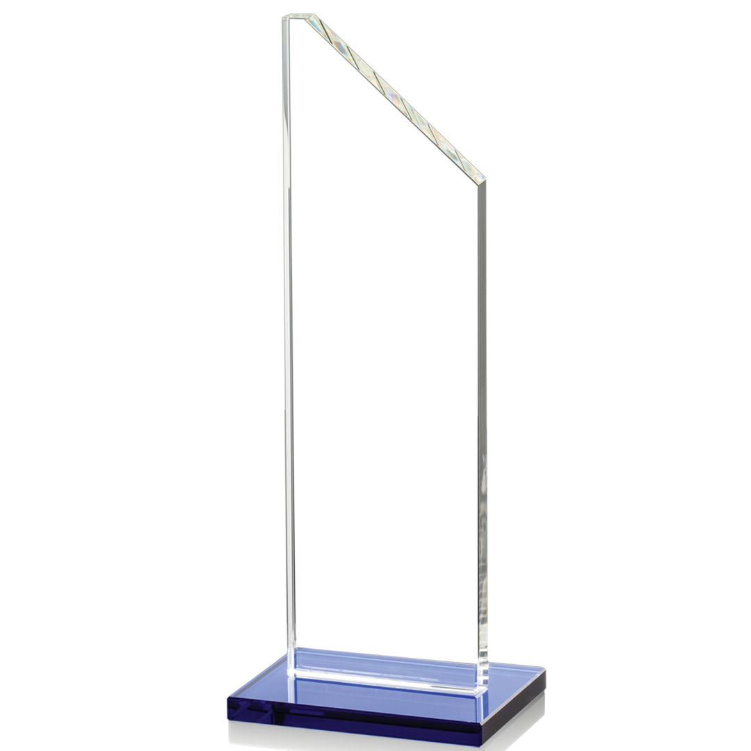 Dixon Award - Blue 11