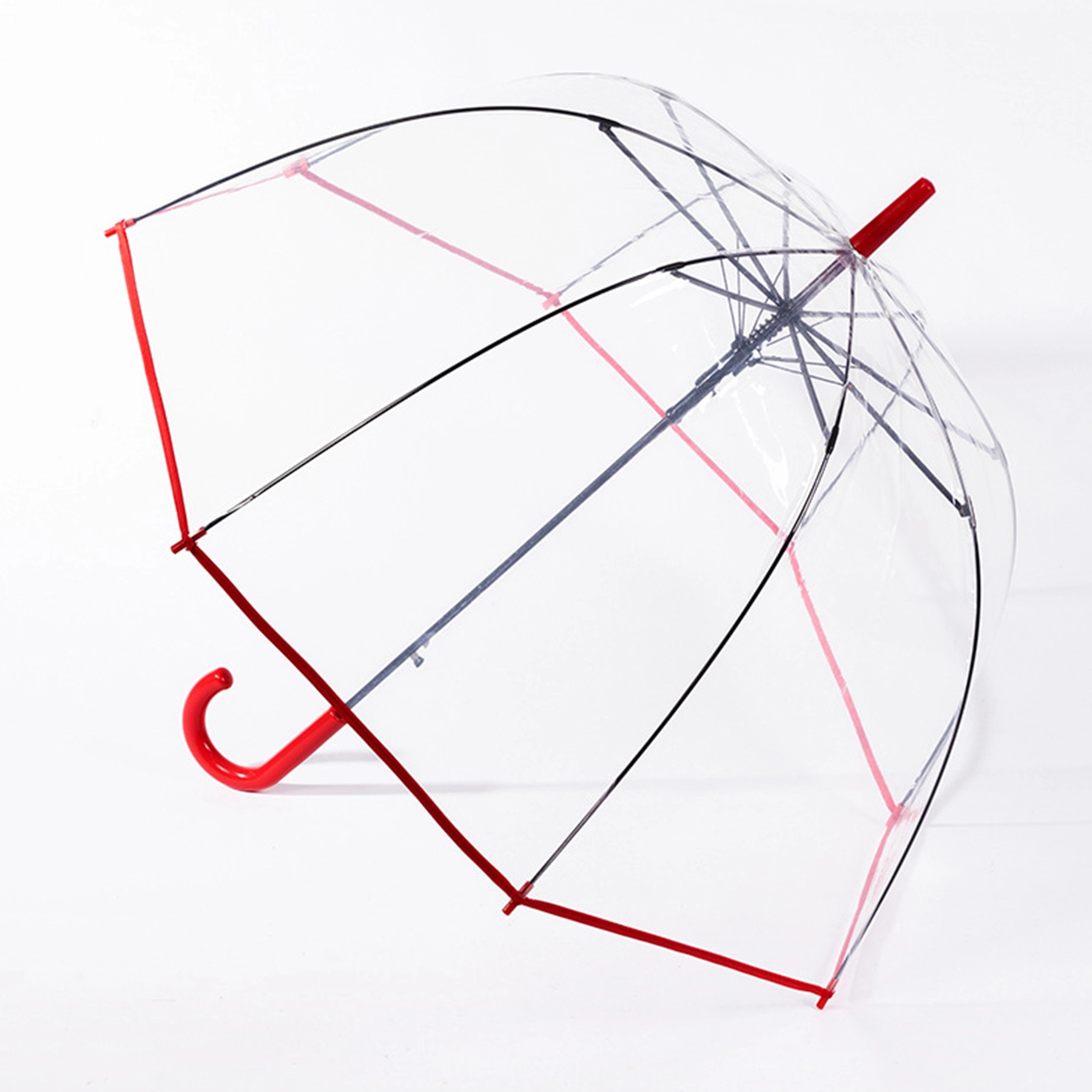 Clear Bubble Umbrella 2