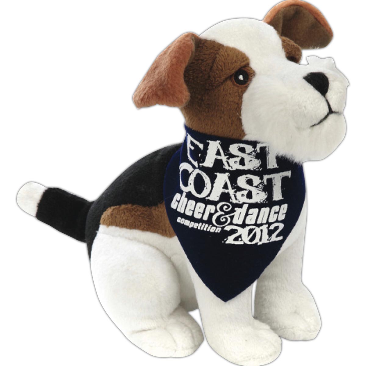 Jack Russell Terrier 2