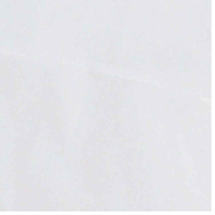 Clear HDPE Frosted Die Cut Tote 2