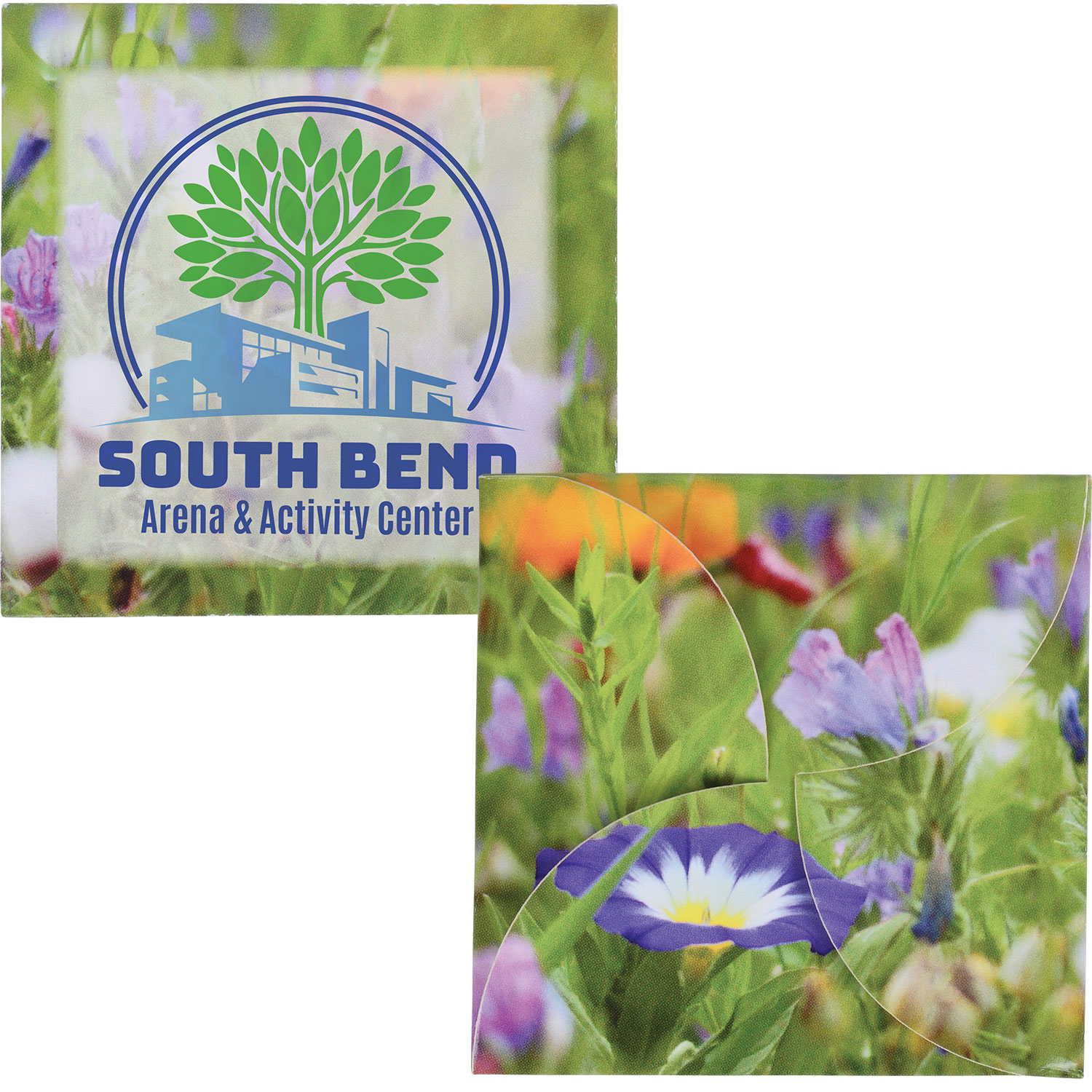 "Say it with Seeds" Envelope - Flowers 3