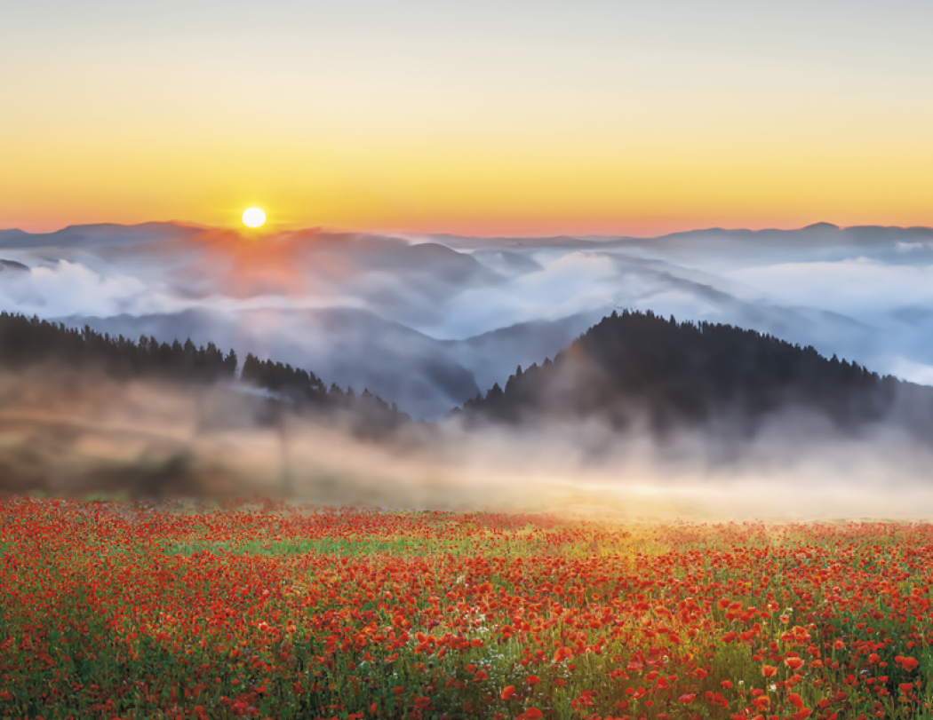 Triumph® Calendars Sunrise Sunset Calendar 73
