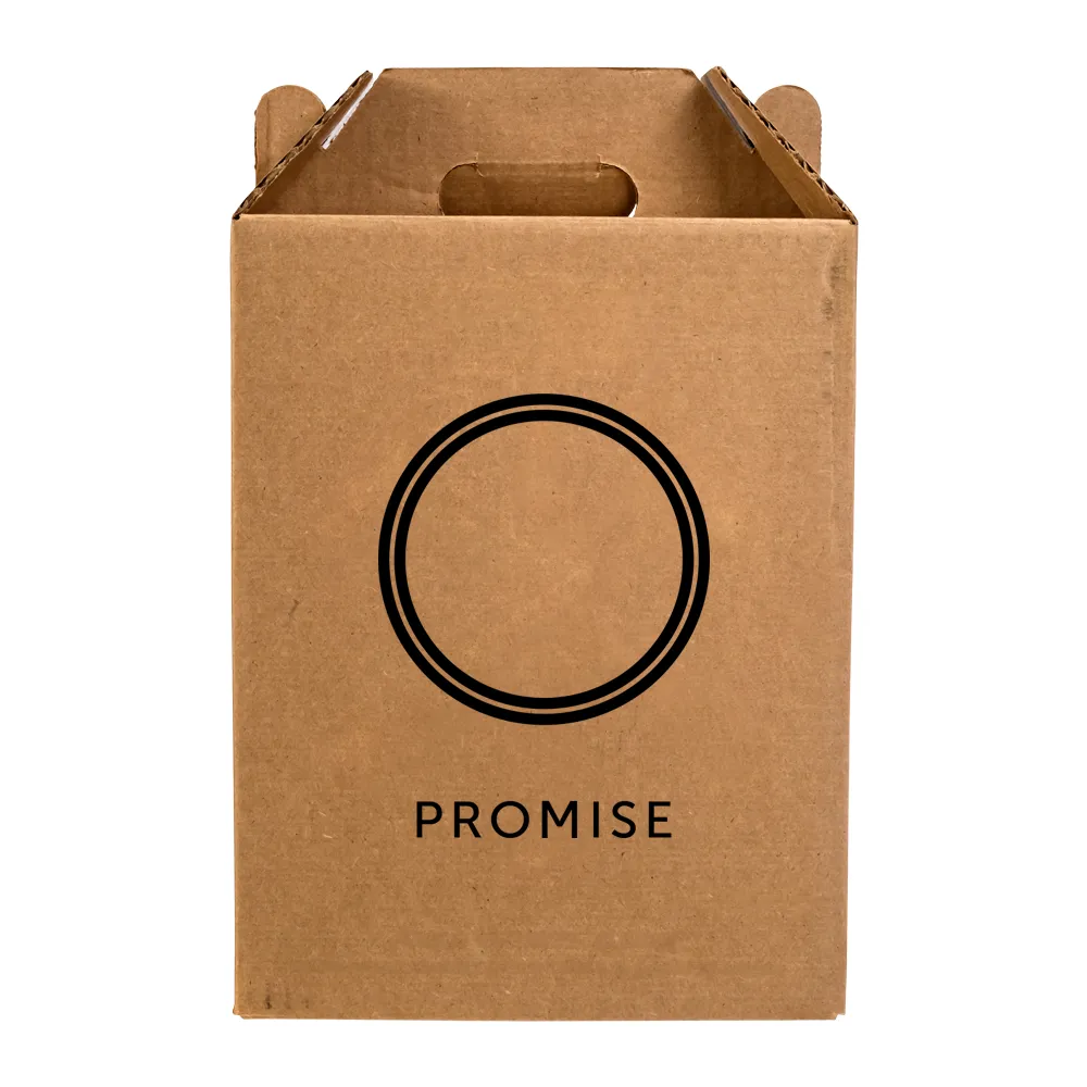 6-Bottle Cardboard Carrier 4