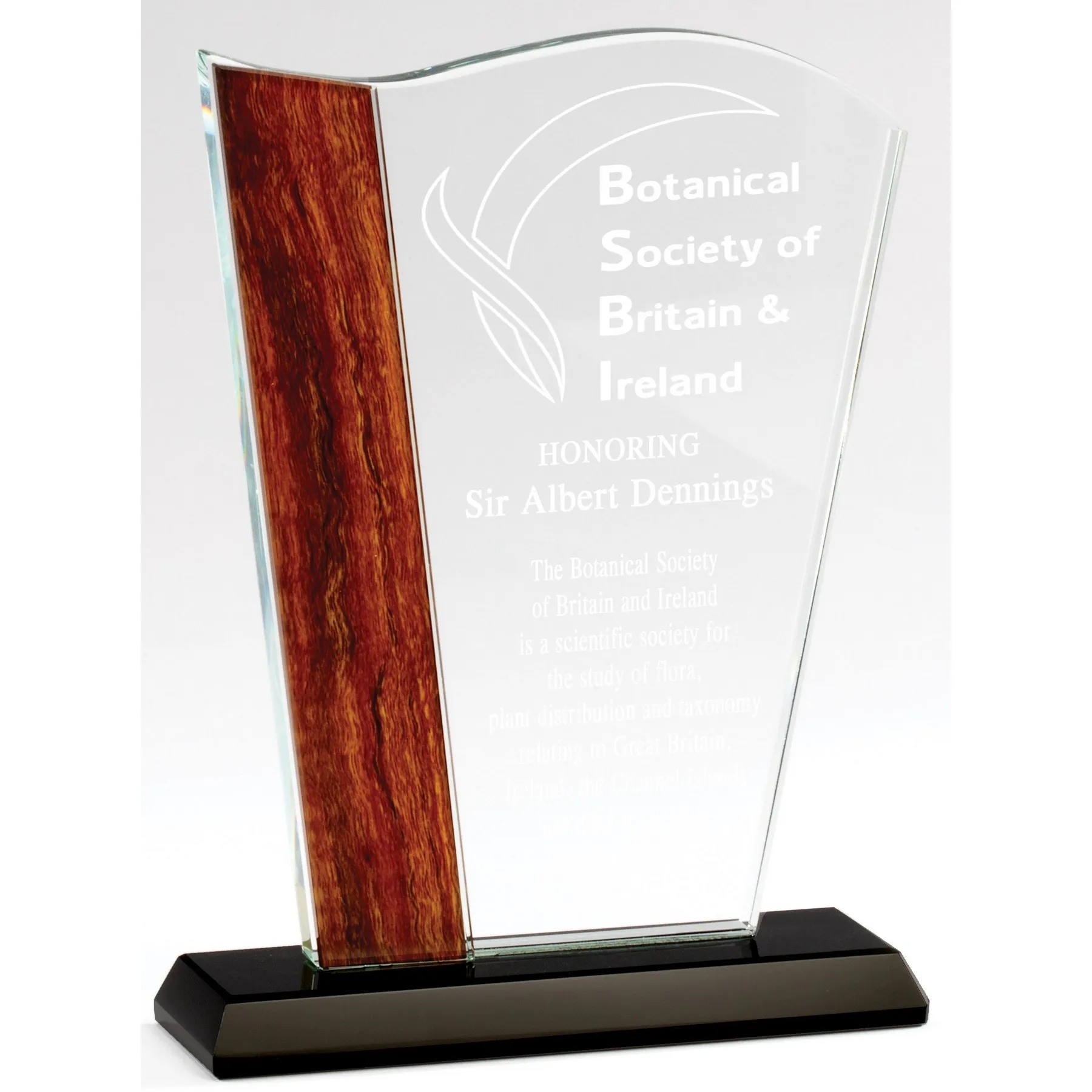 8 1/4" Crystal Wave Award w/Wood Look Edge & Black Base 2