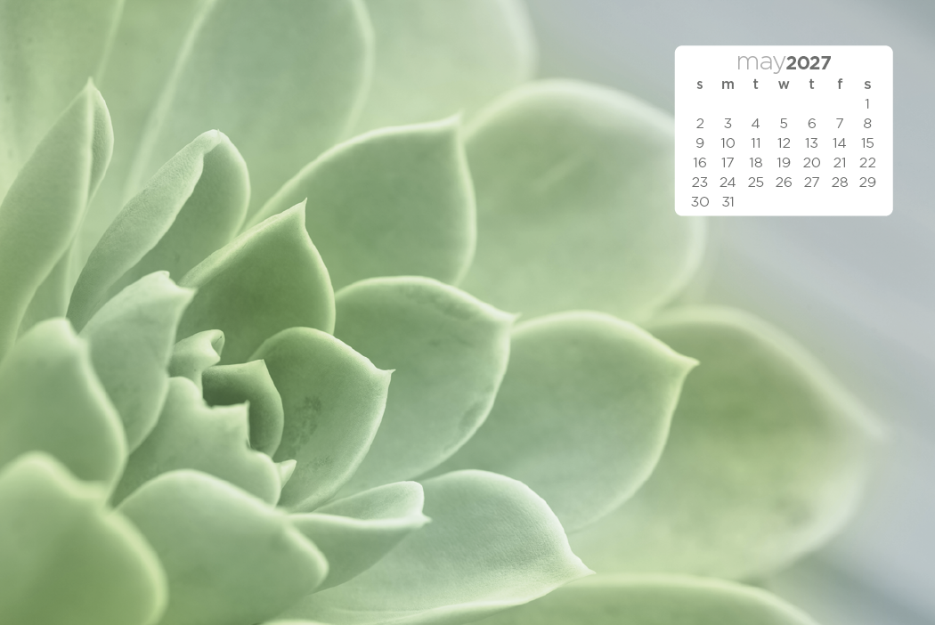 Triumph® Calendars Simplicity Large Desk Calendar 40