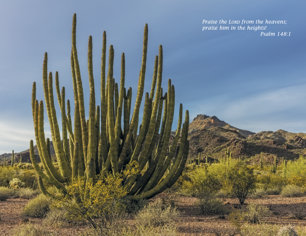 Triumph® Calendars Catholic Scenic Calendar 11