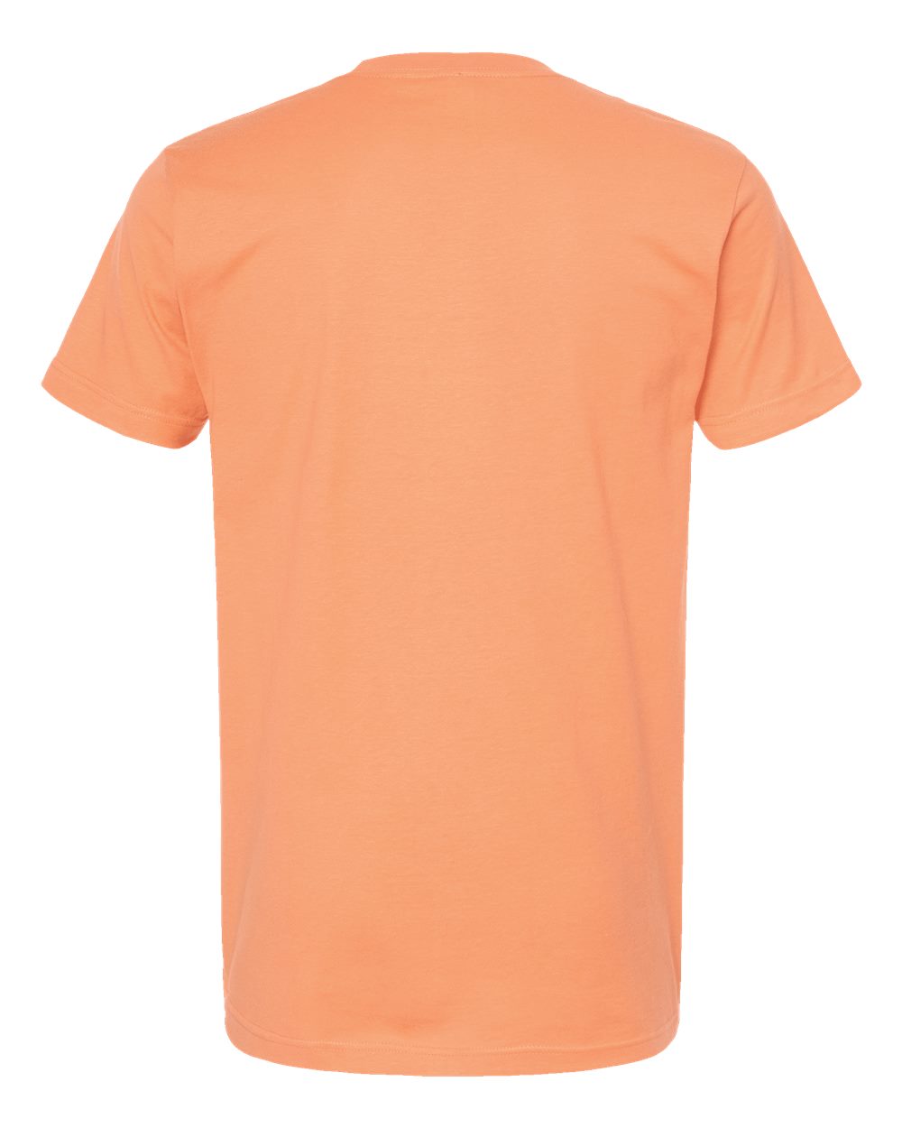 Unisex Fine Jersey T-Shirt - 202 249