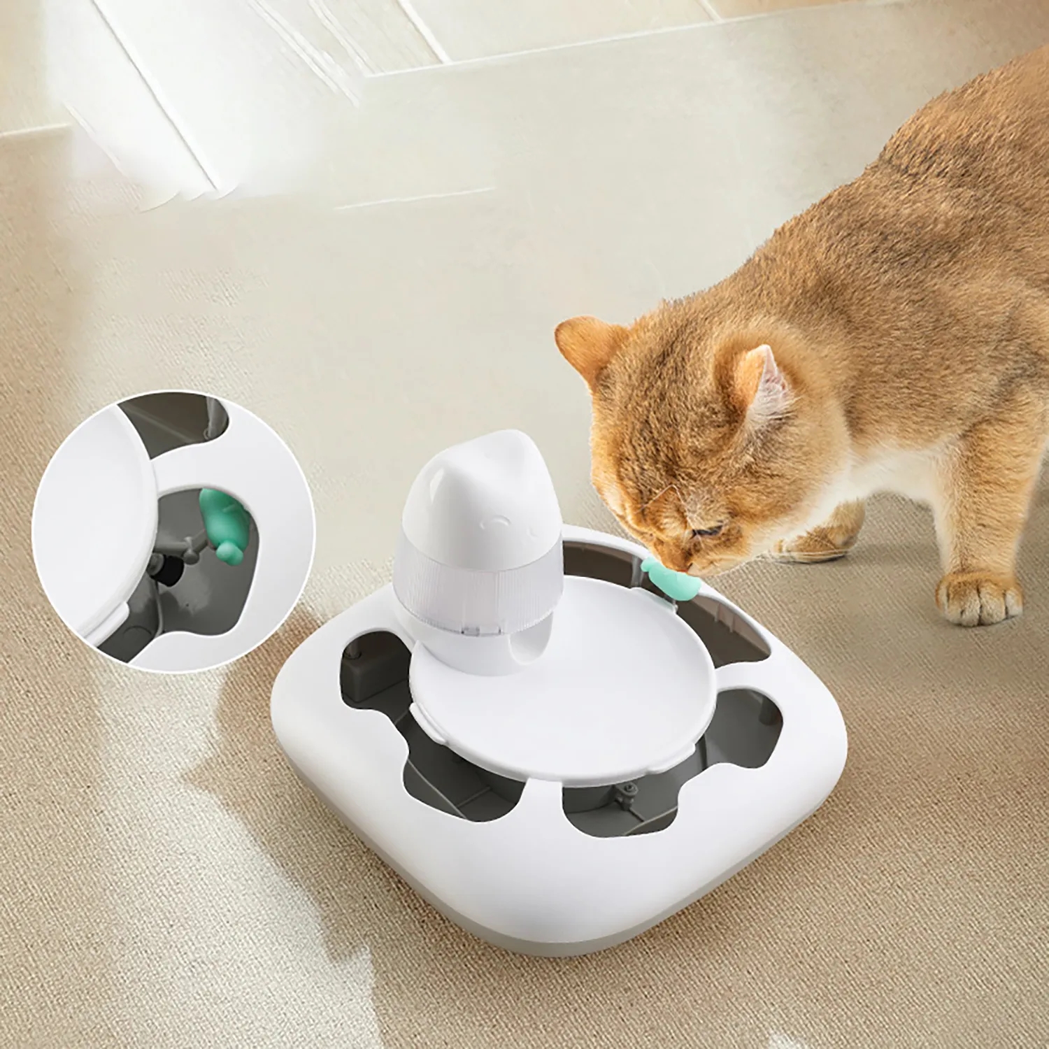 Electronic pet toys 4