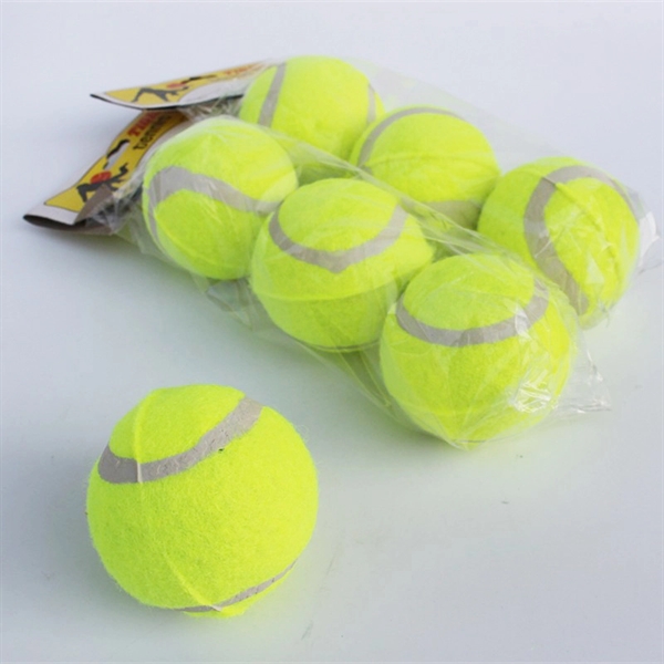 Pet Training Tennis Ball 4