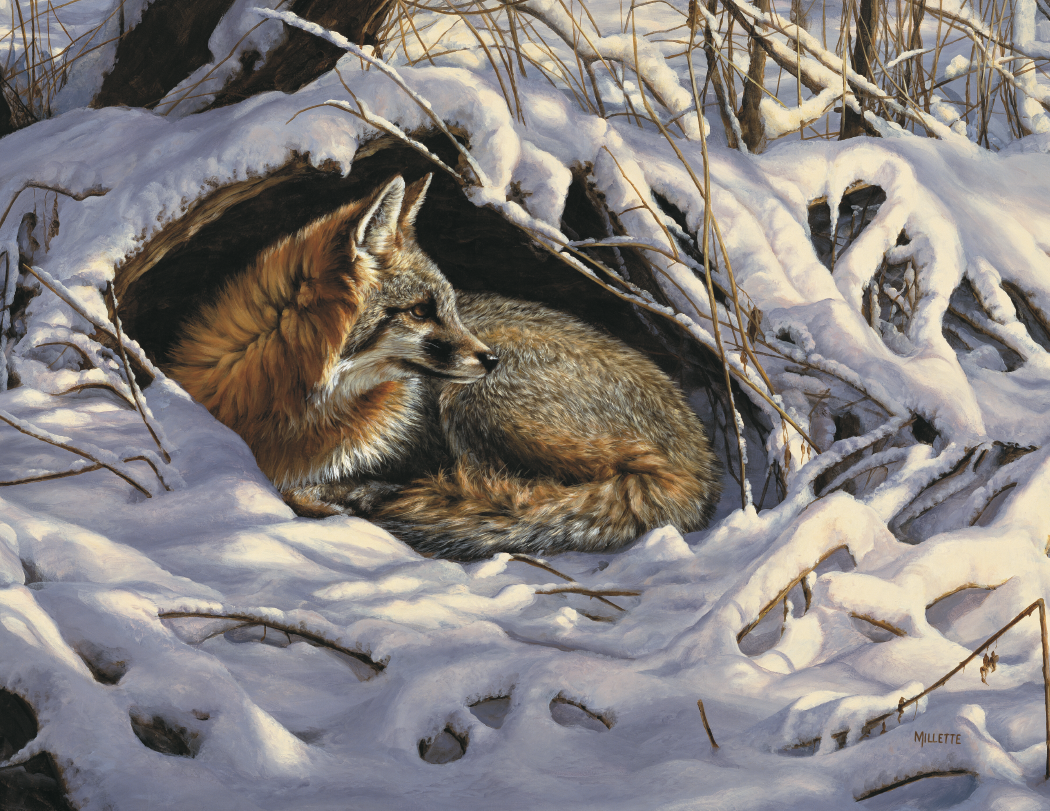 Triumph® Calendars Wildlife Art Calendar 3